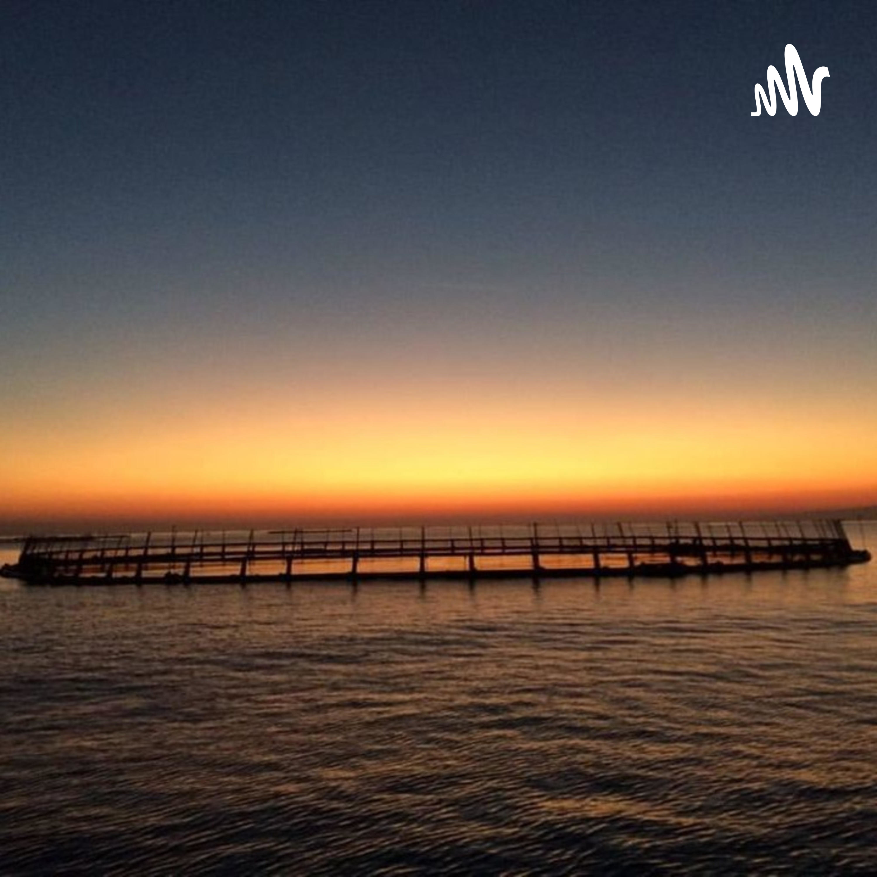 Learn New Things Everyday