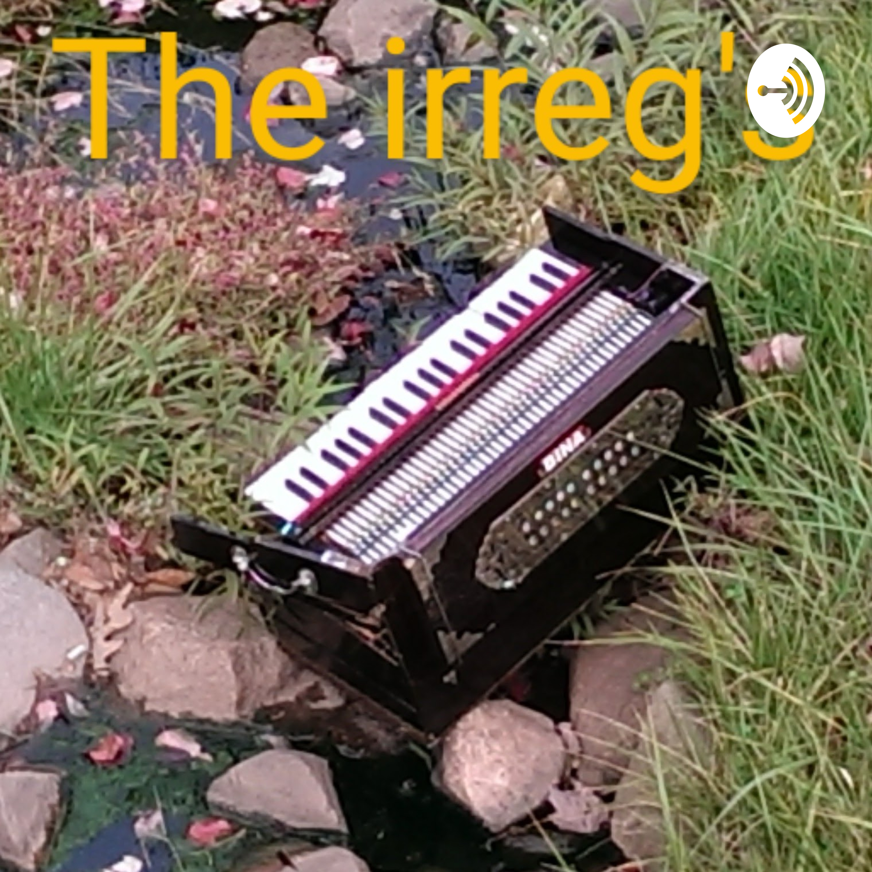 The Irreg\'s