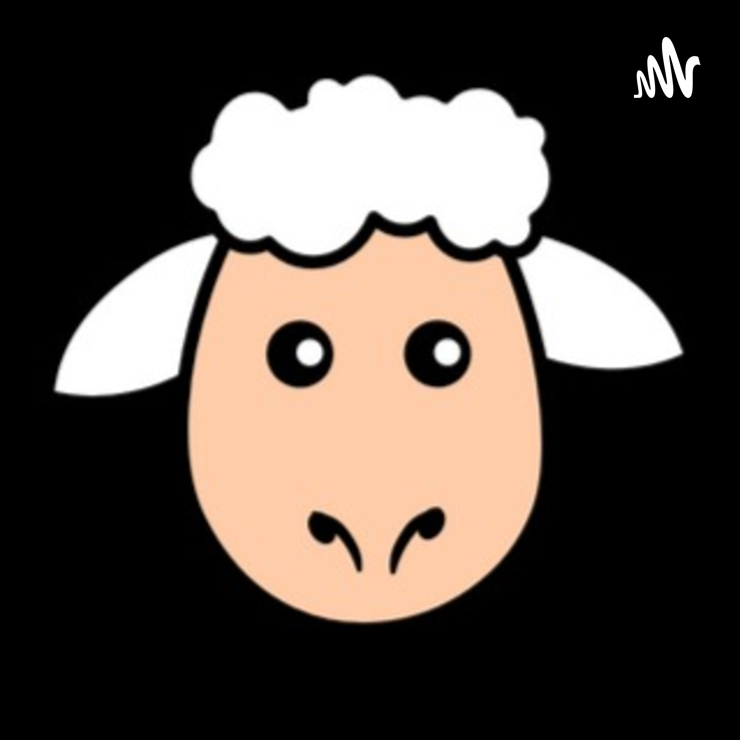 Who I Am In Christ Devotionals Who I Am In Christ Devotionals