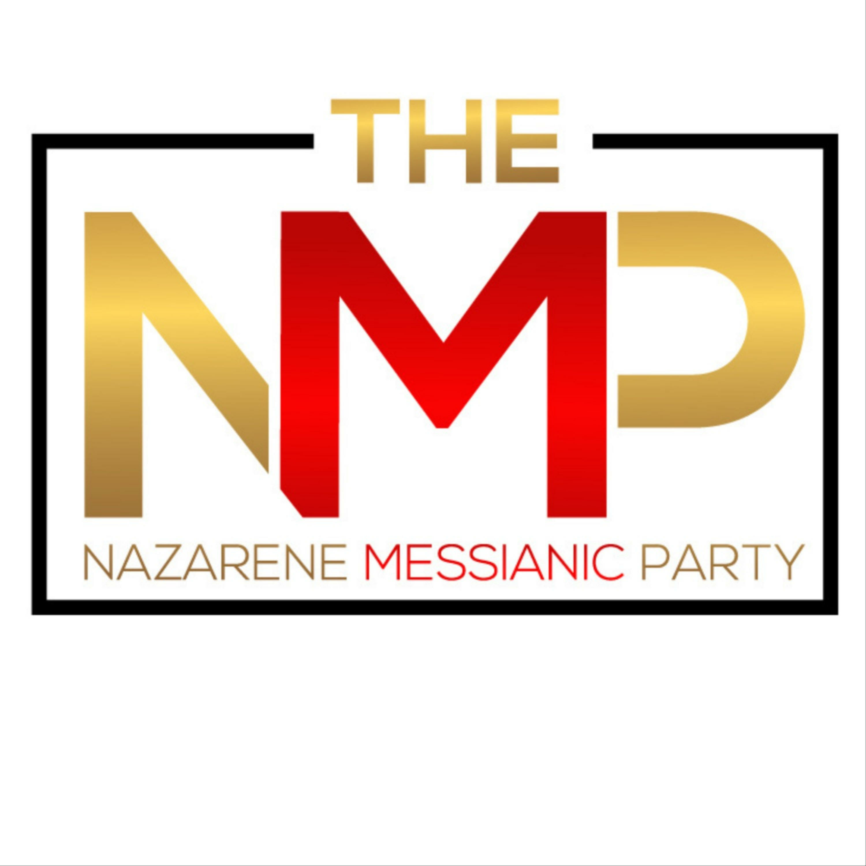The NMP: What Is to be Done?