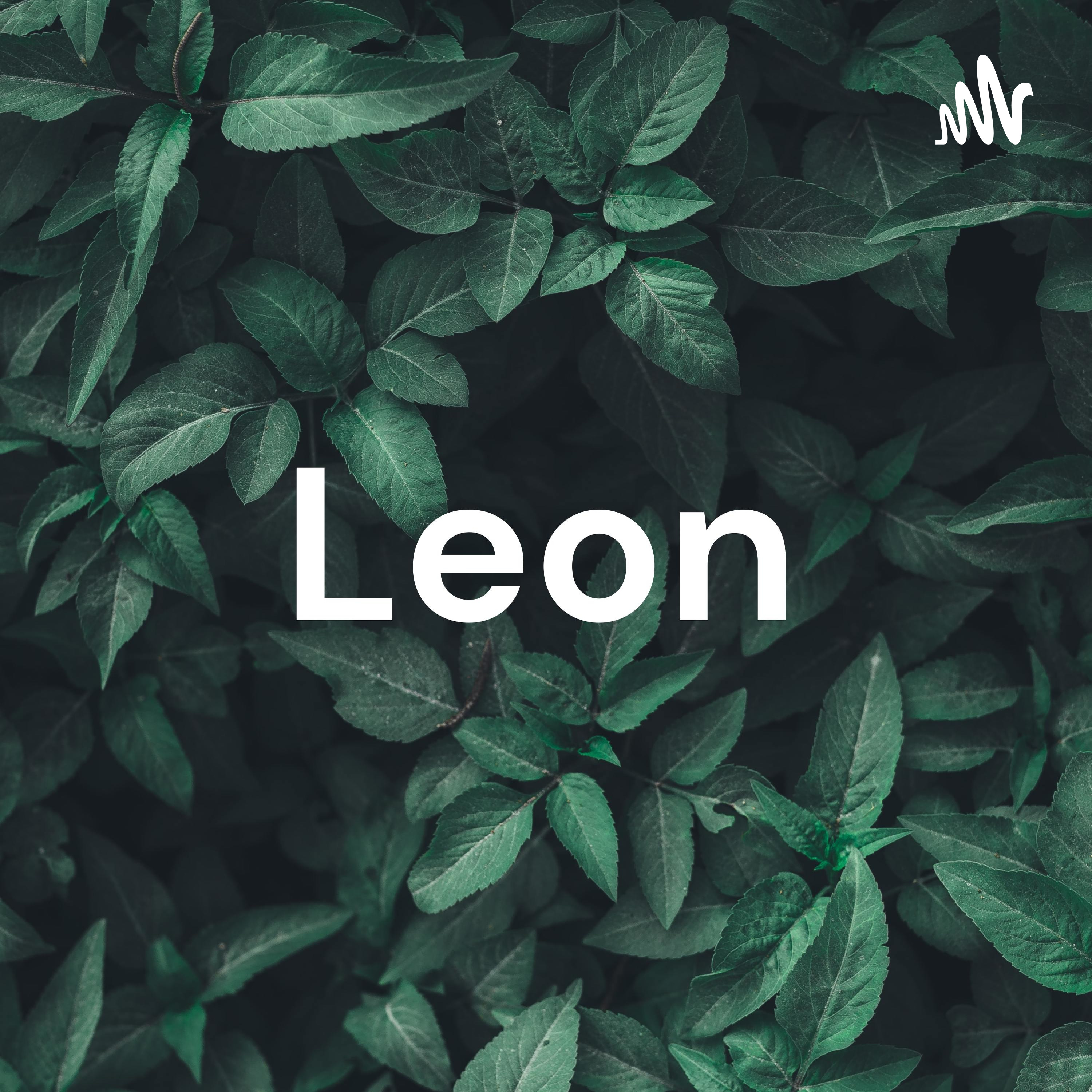 Leon的大小事