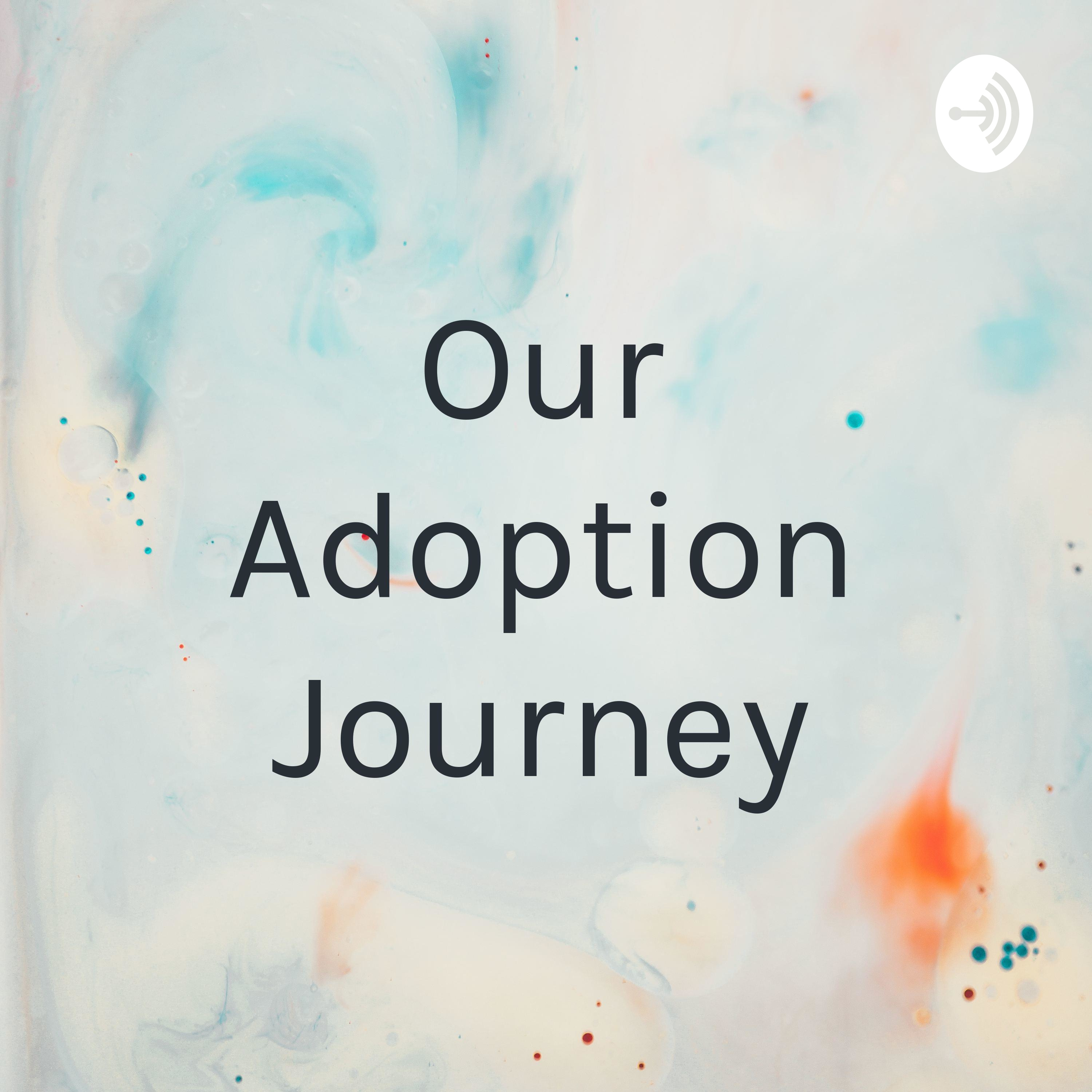 Our Adoption Journey