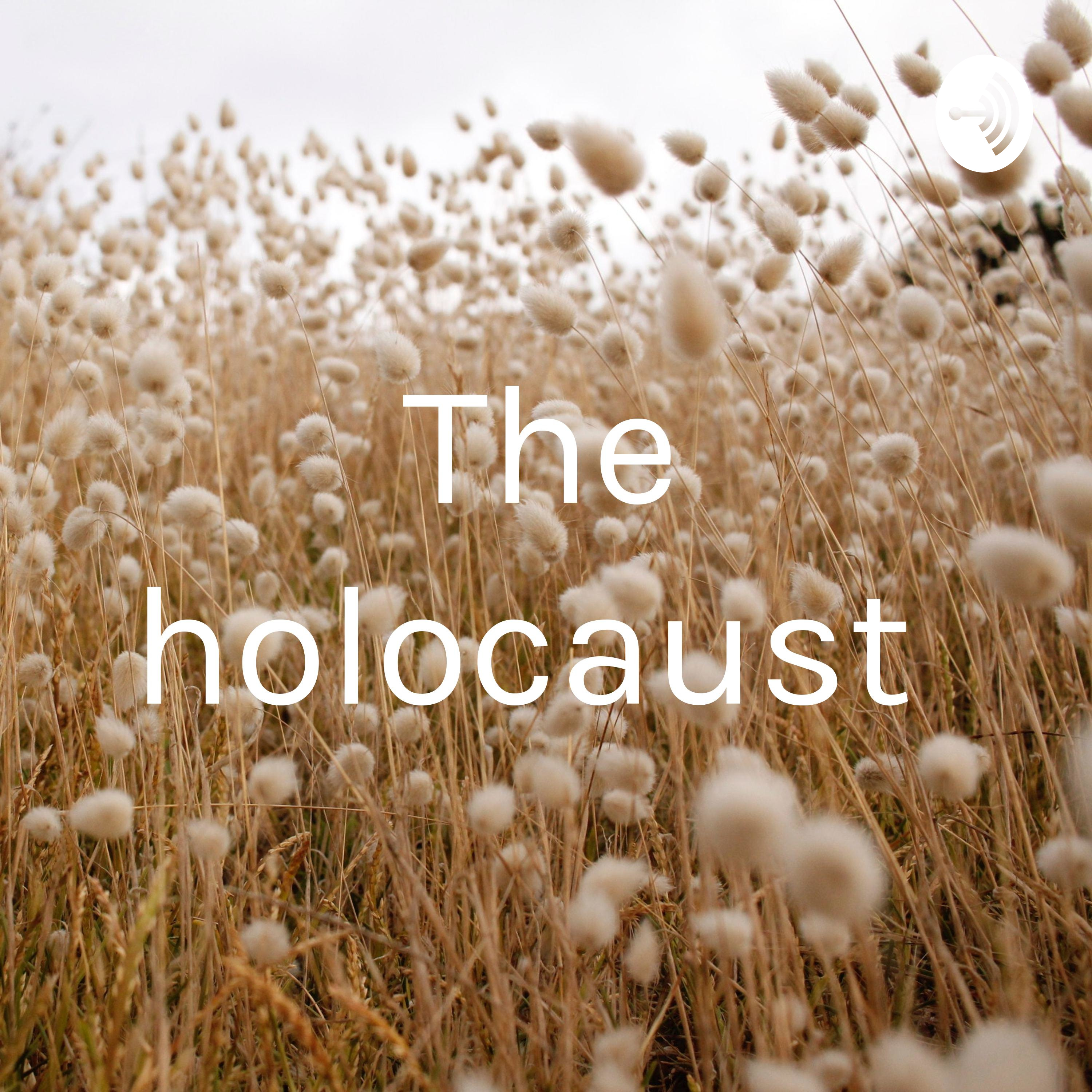 The holocaust 