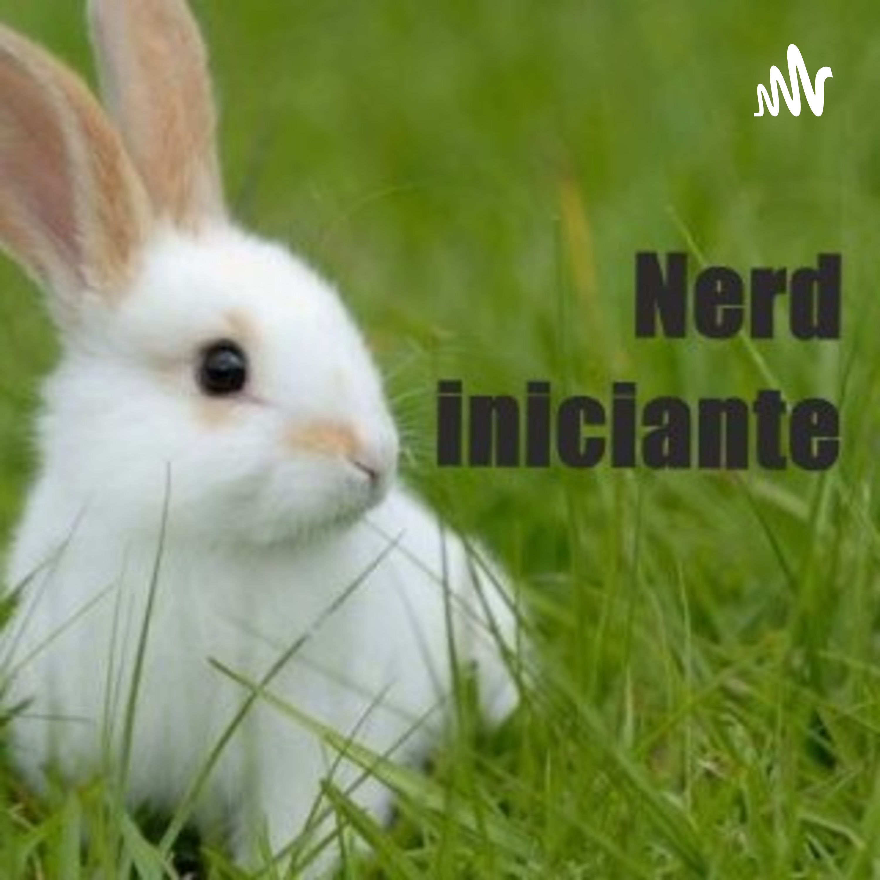 Podcast Nerd Iniciante podcast artwork