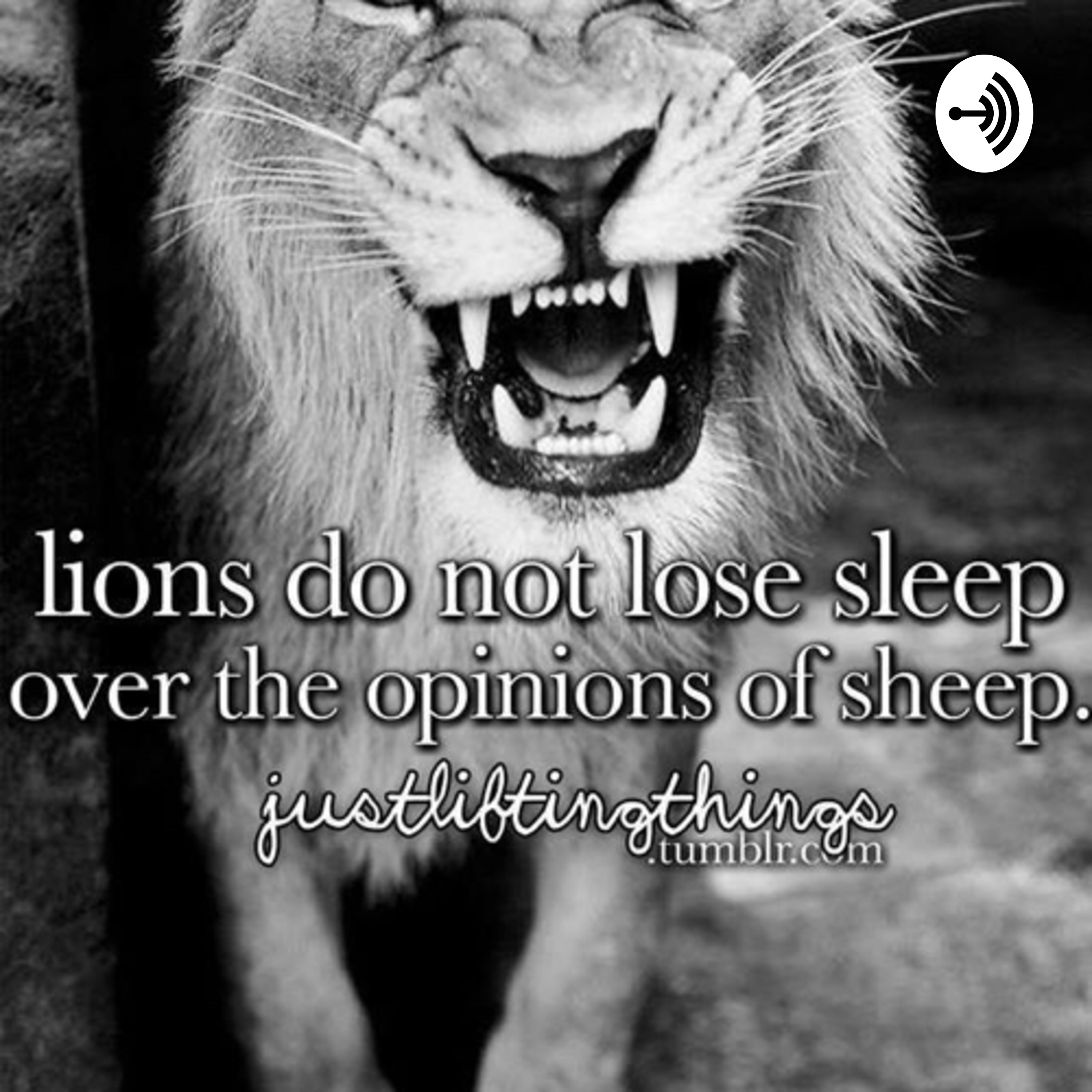 Live Your Life 