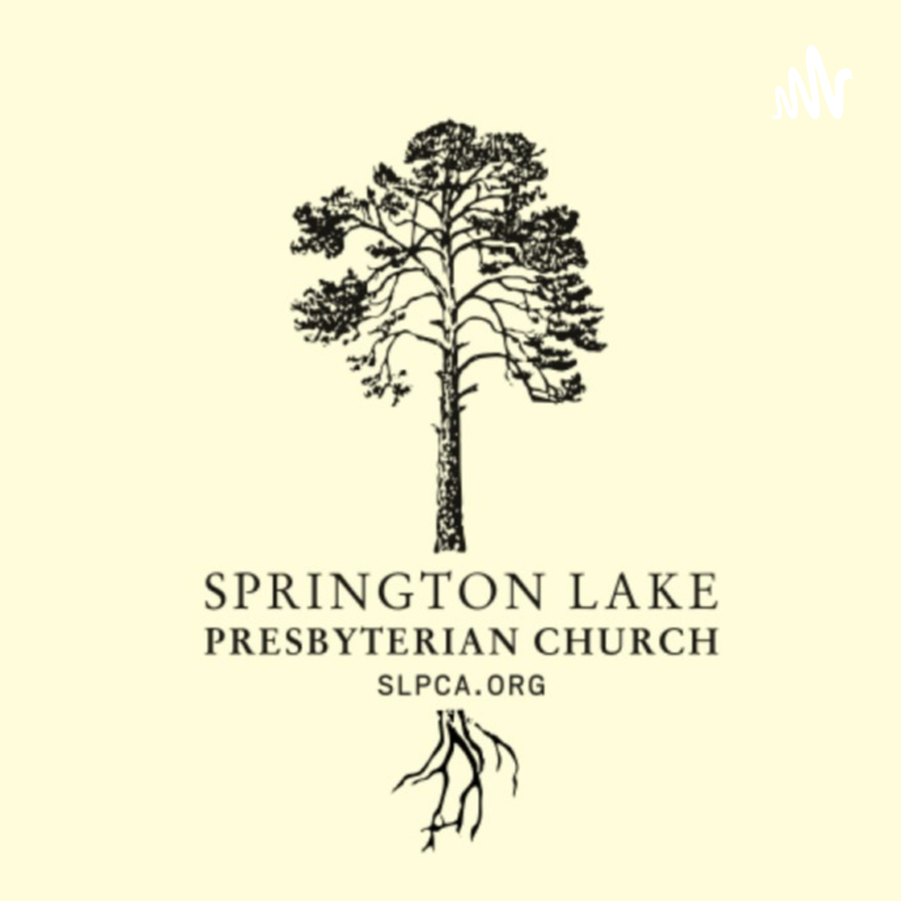 Springton Lake cover art