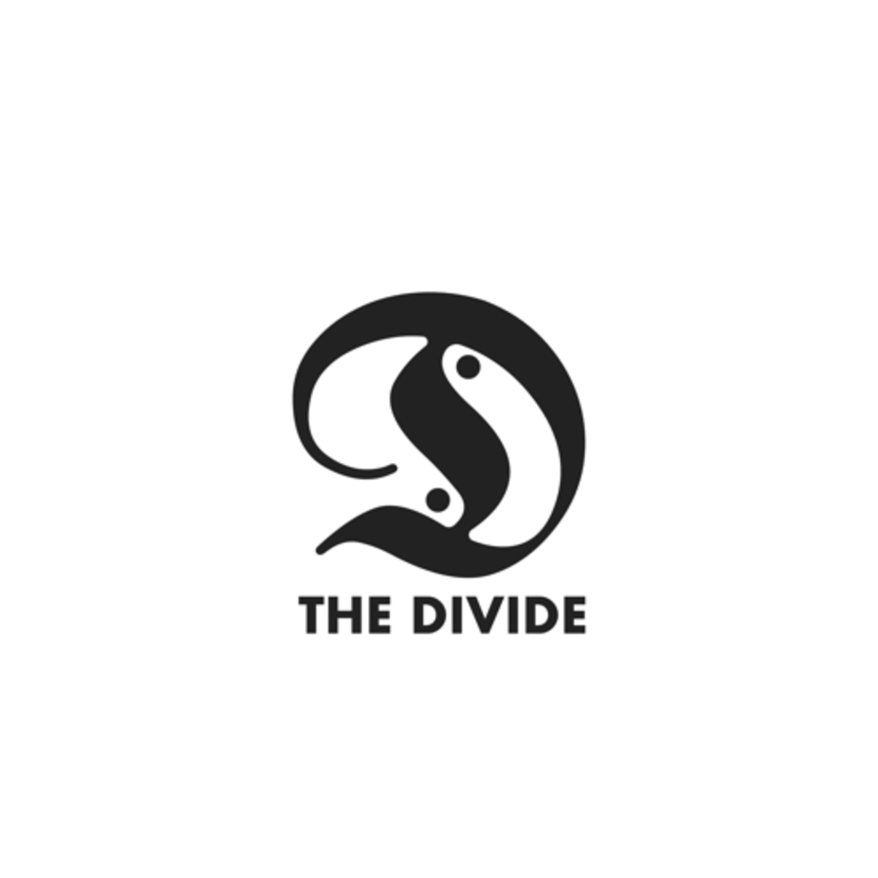 the divide podcast podcast artwork