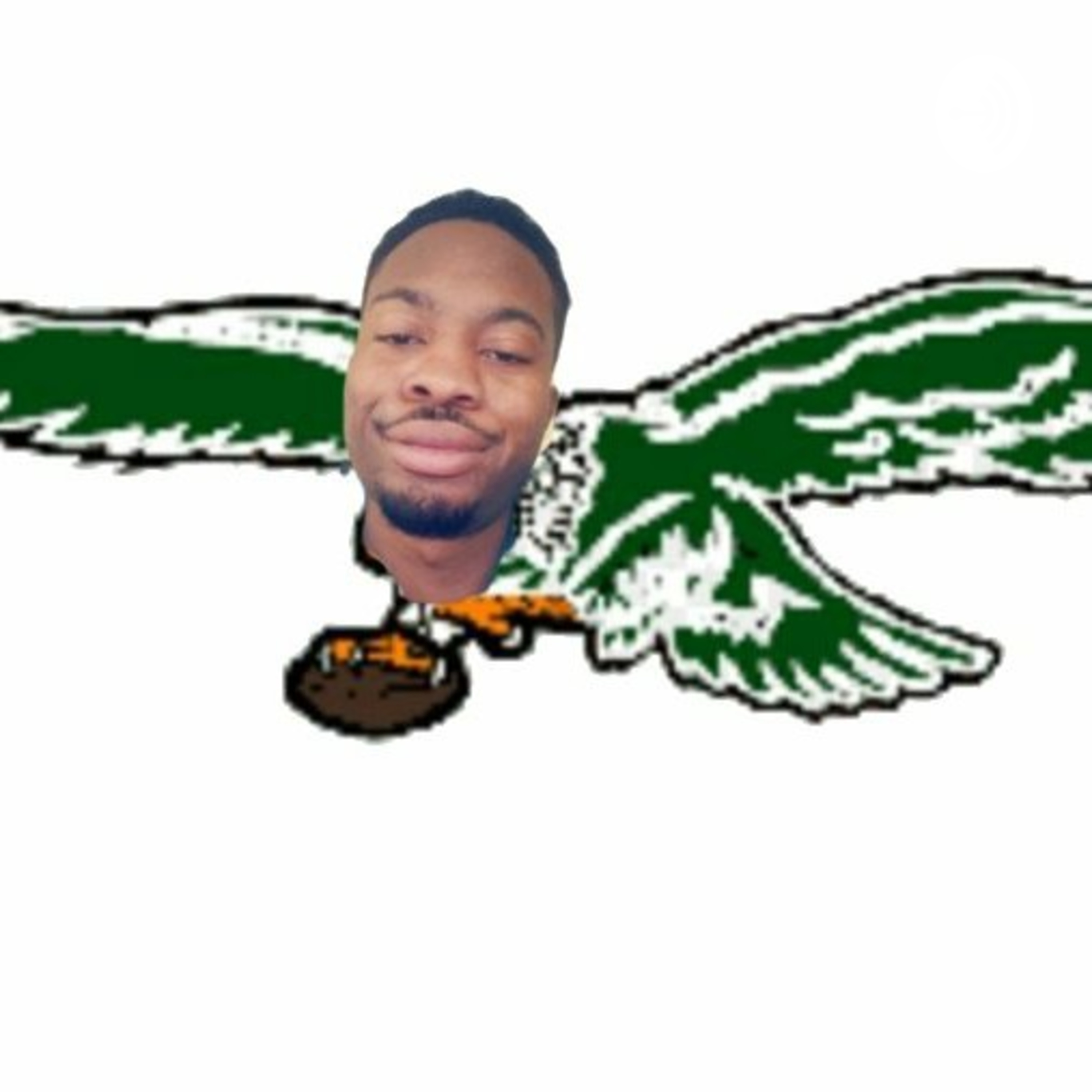 The Birds Weekly Words