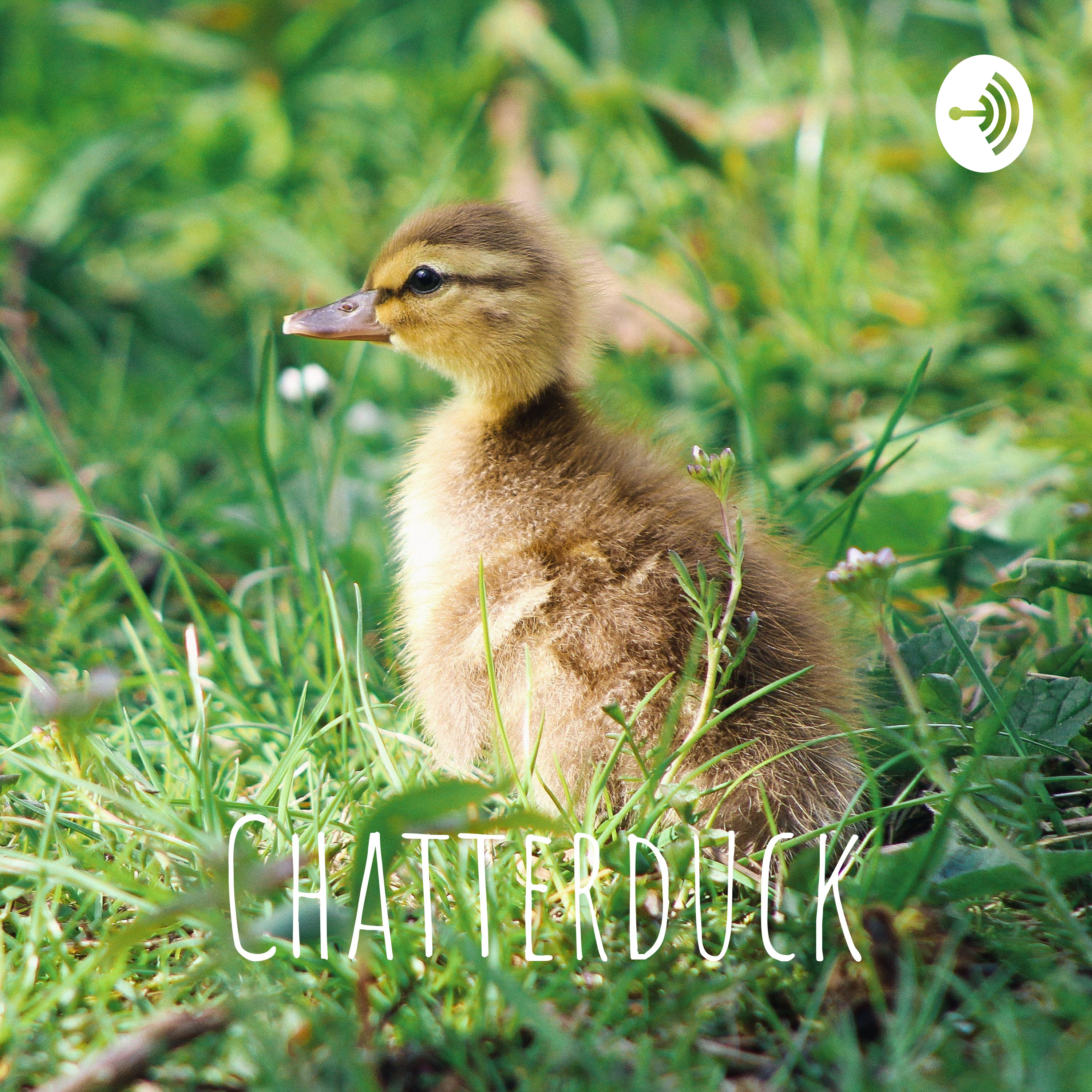 Chatterduck podcast artwork
