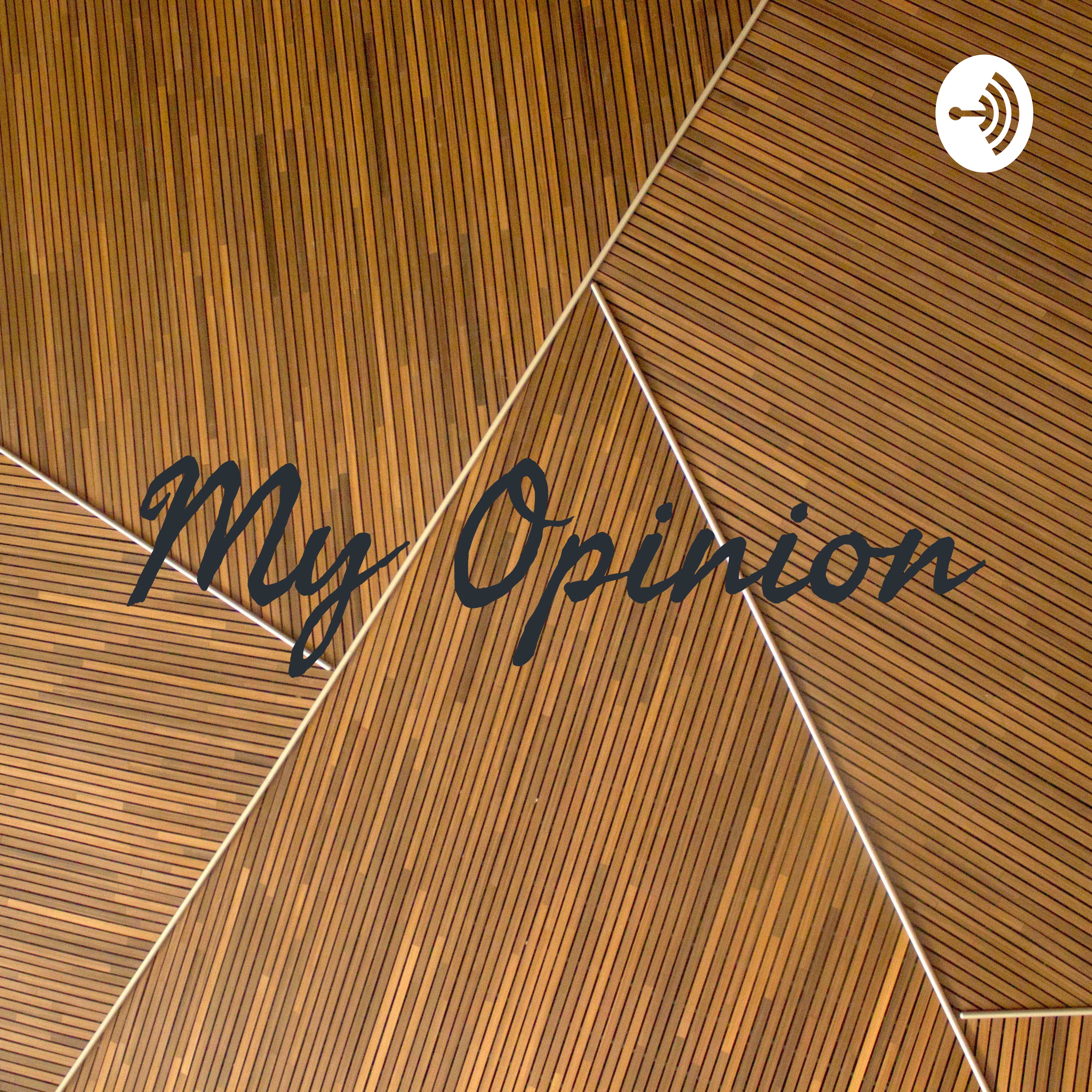 My Opinion