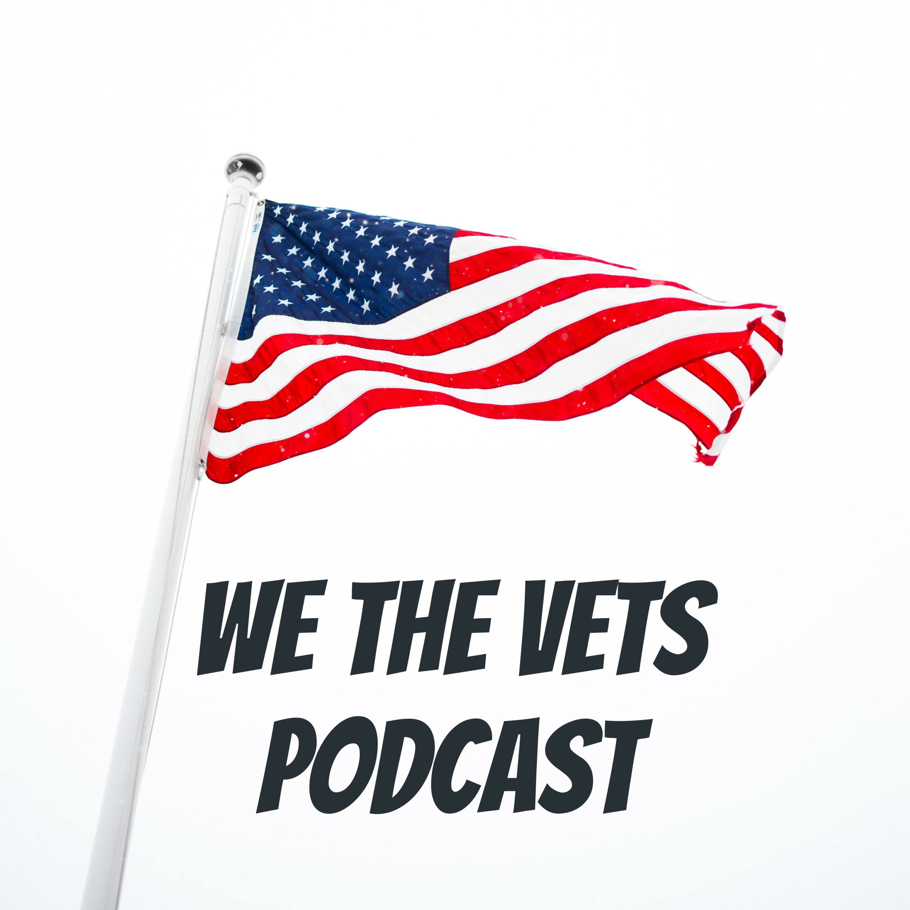 WE THE VETS PODCAST podcast artwork