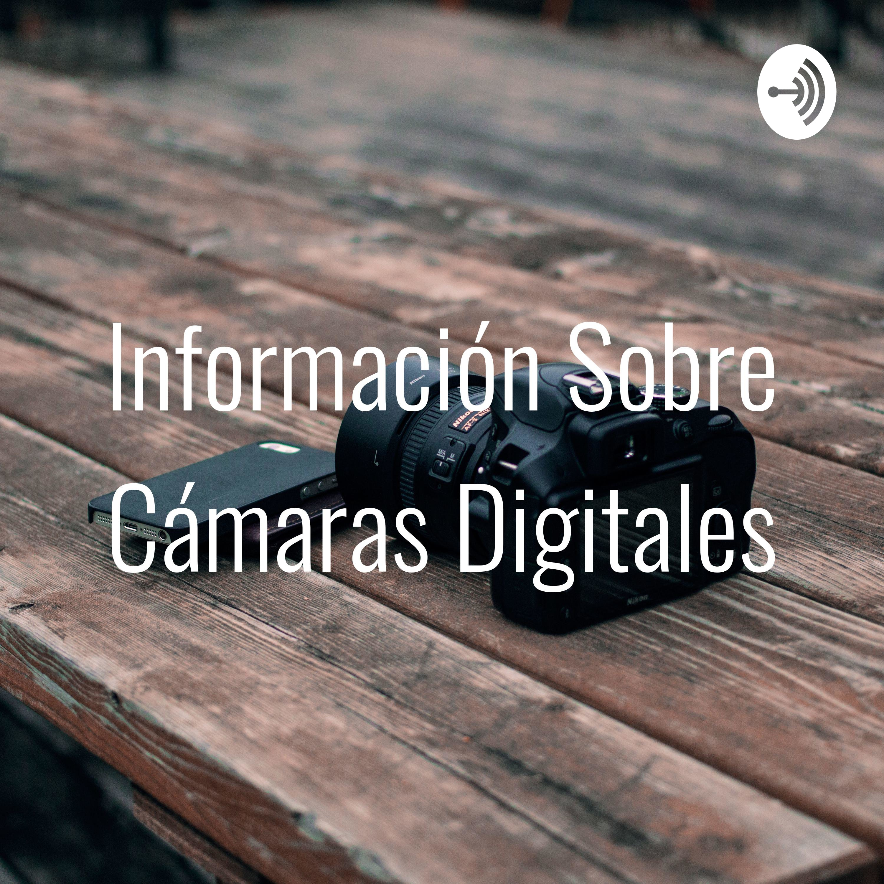 Información Sobre Cámaras Digitales