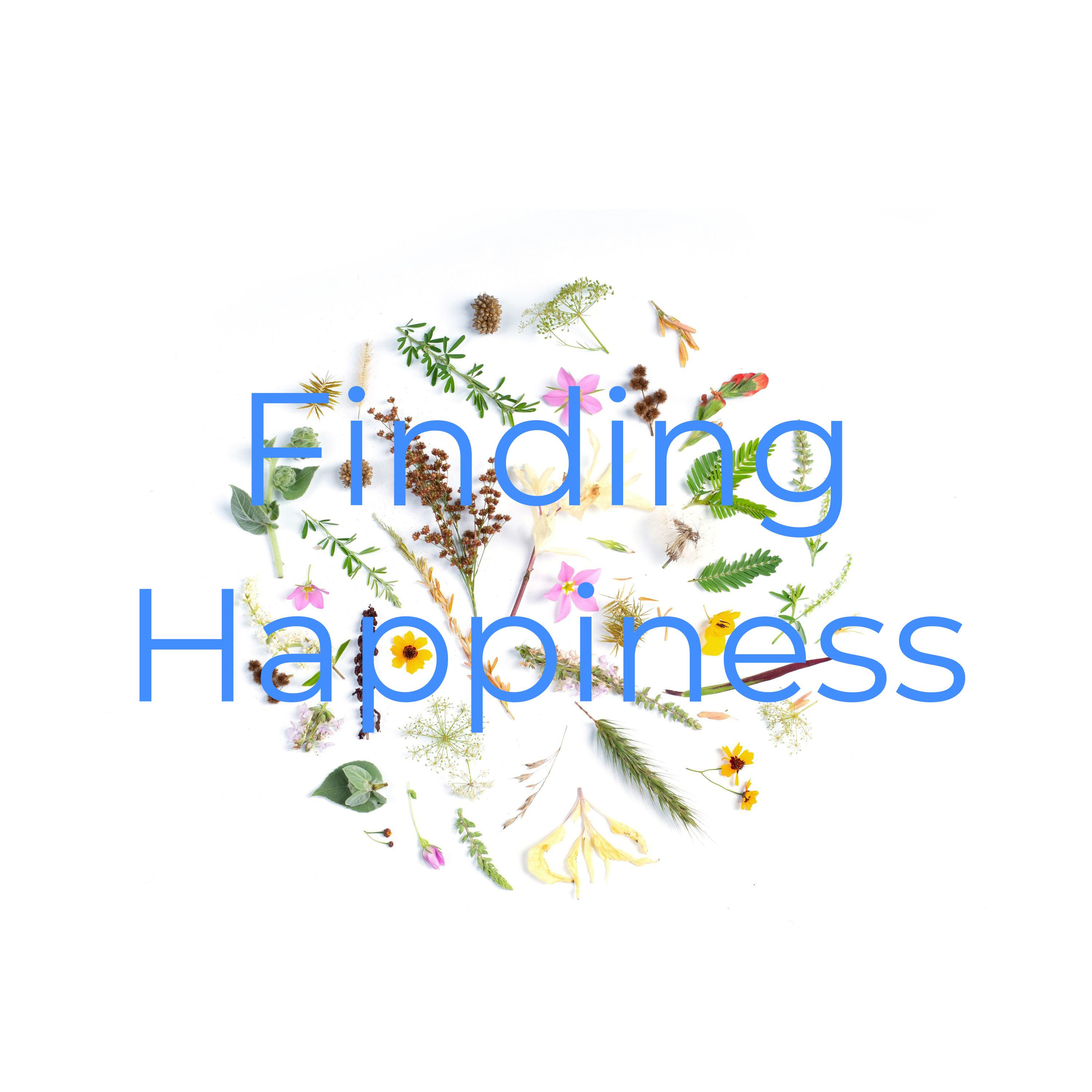 Finding Happiness