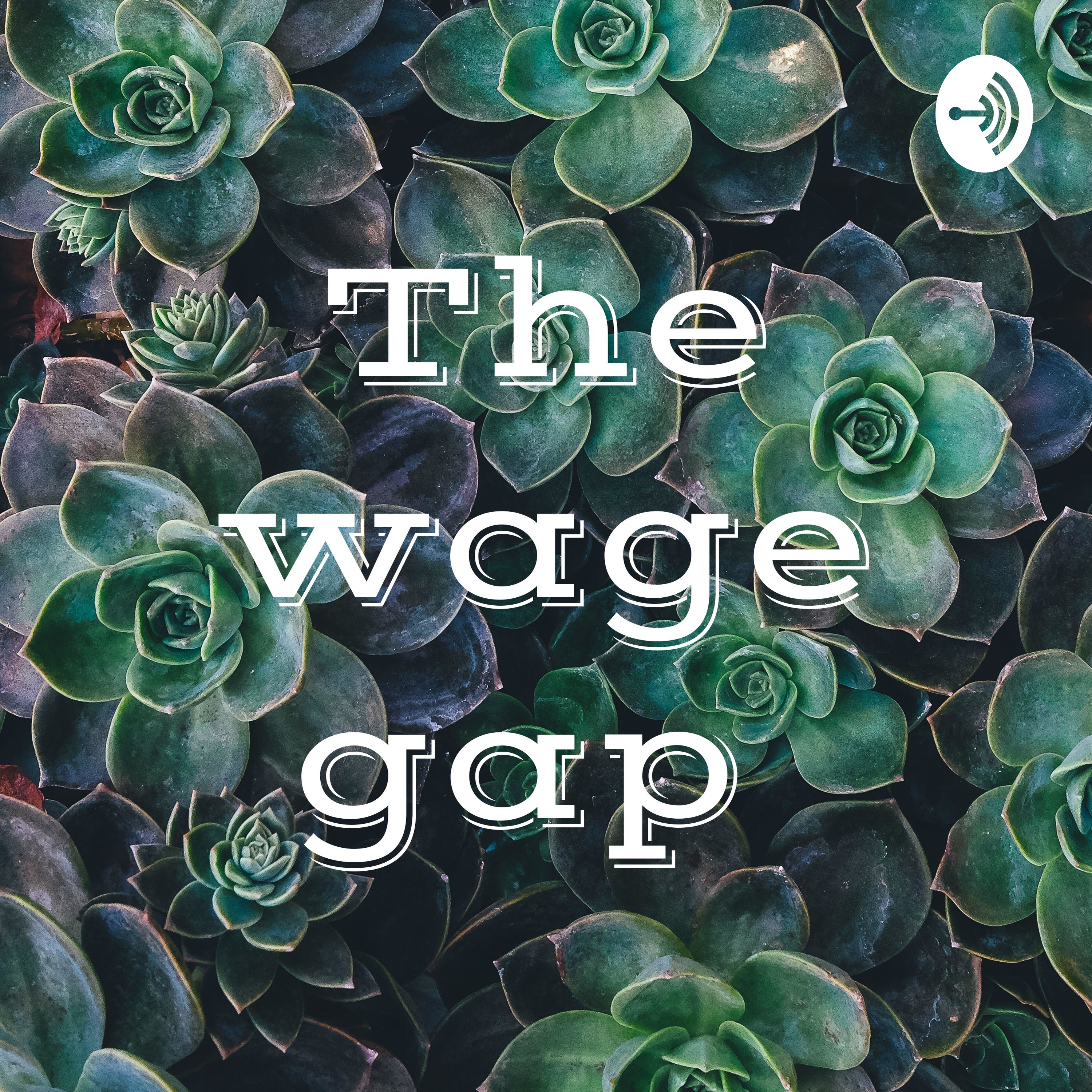 The wage gap 