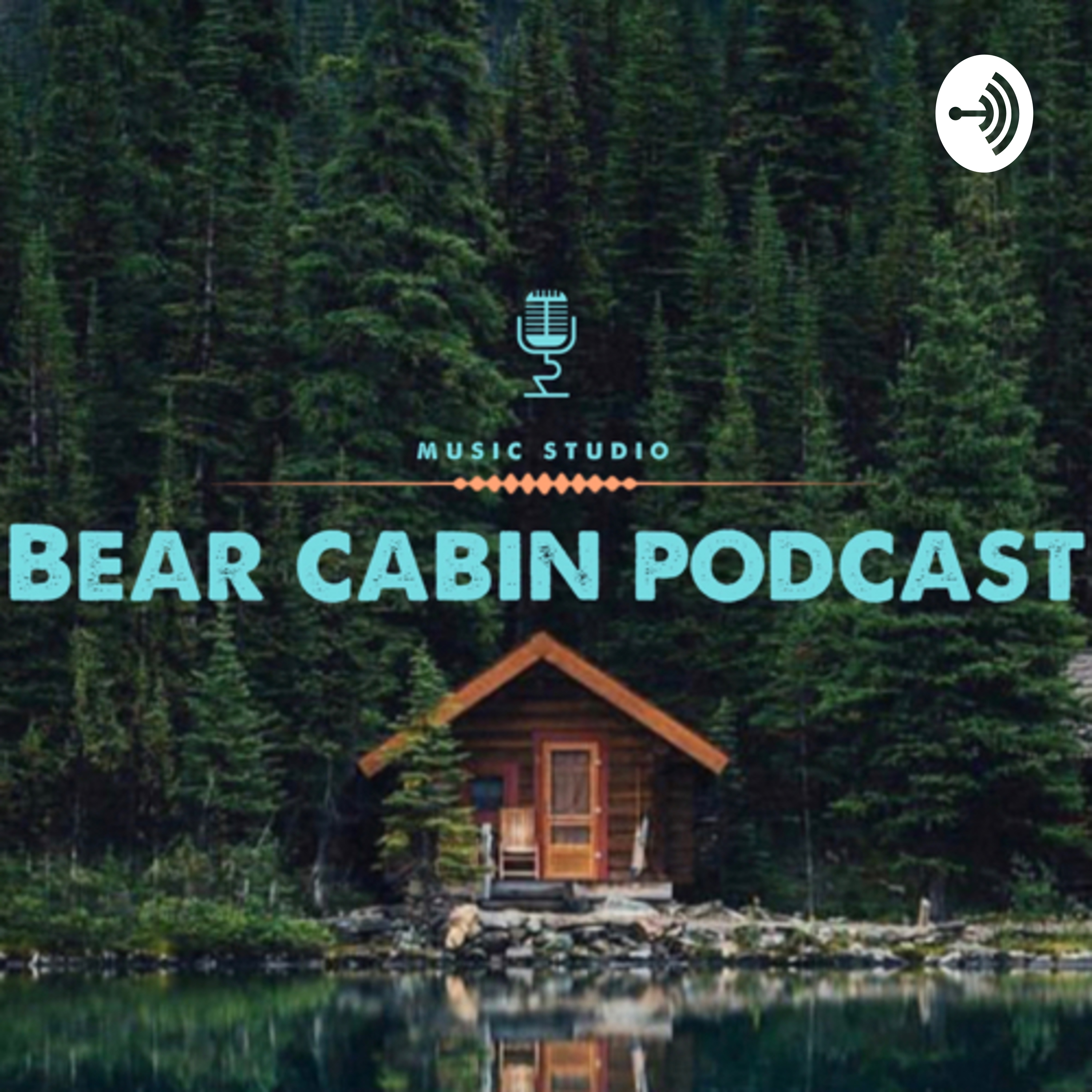 Bear cabin 