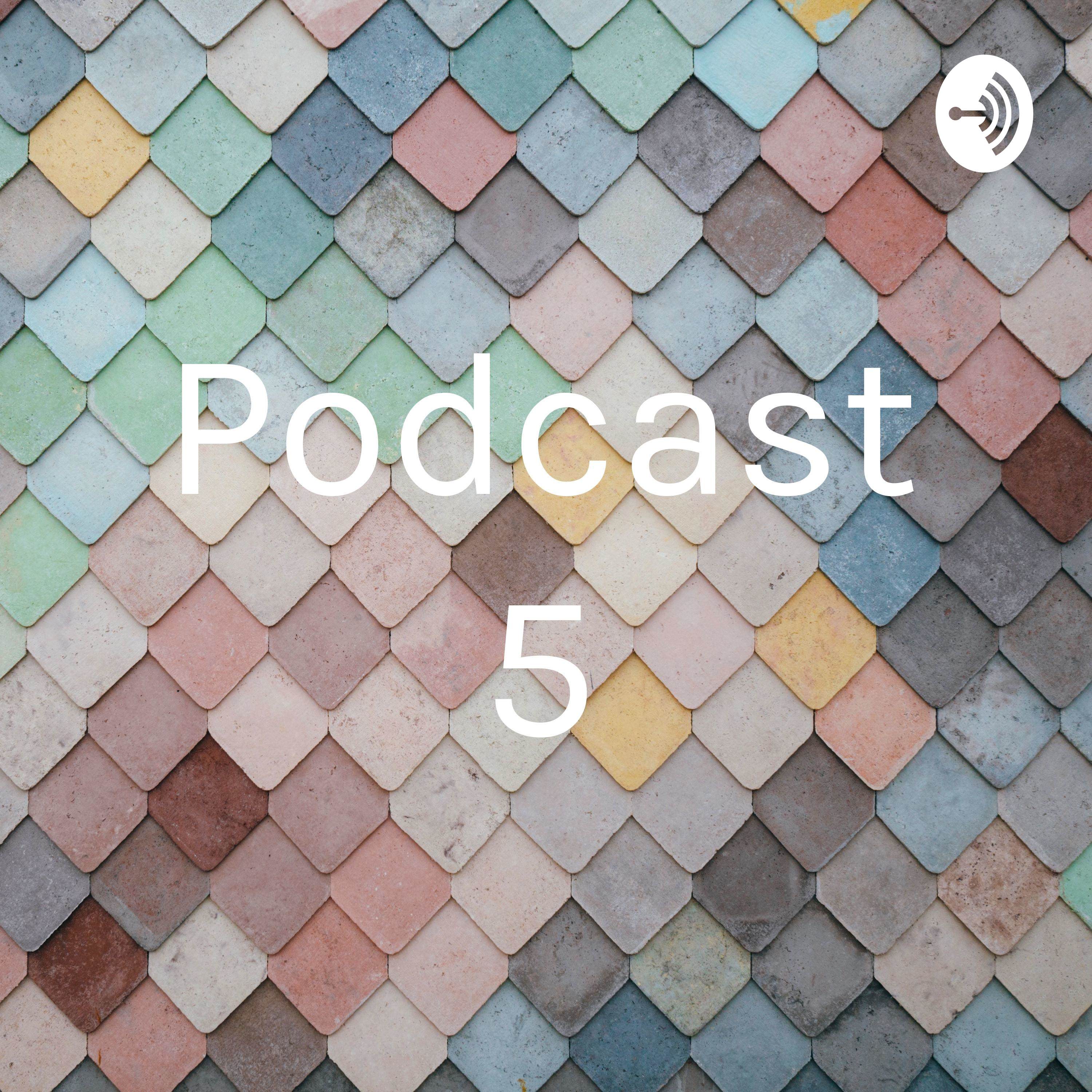 Podcast 5