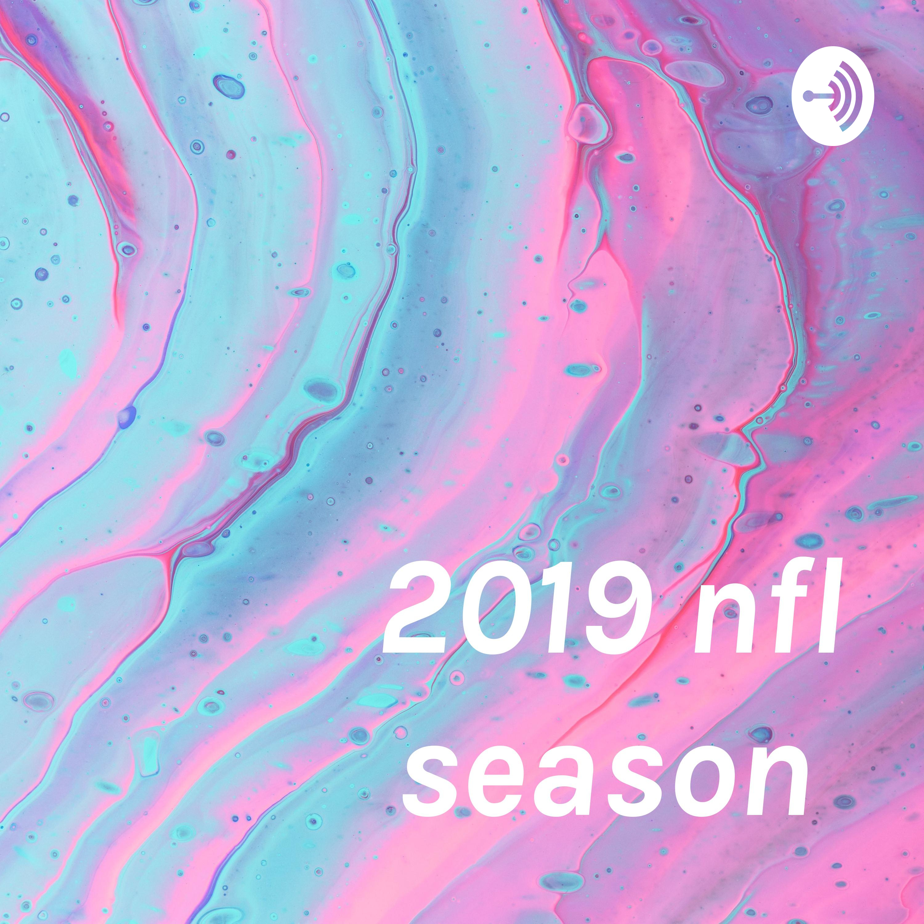 2019 nfl season