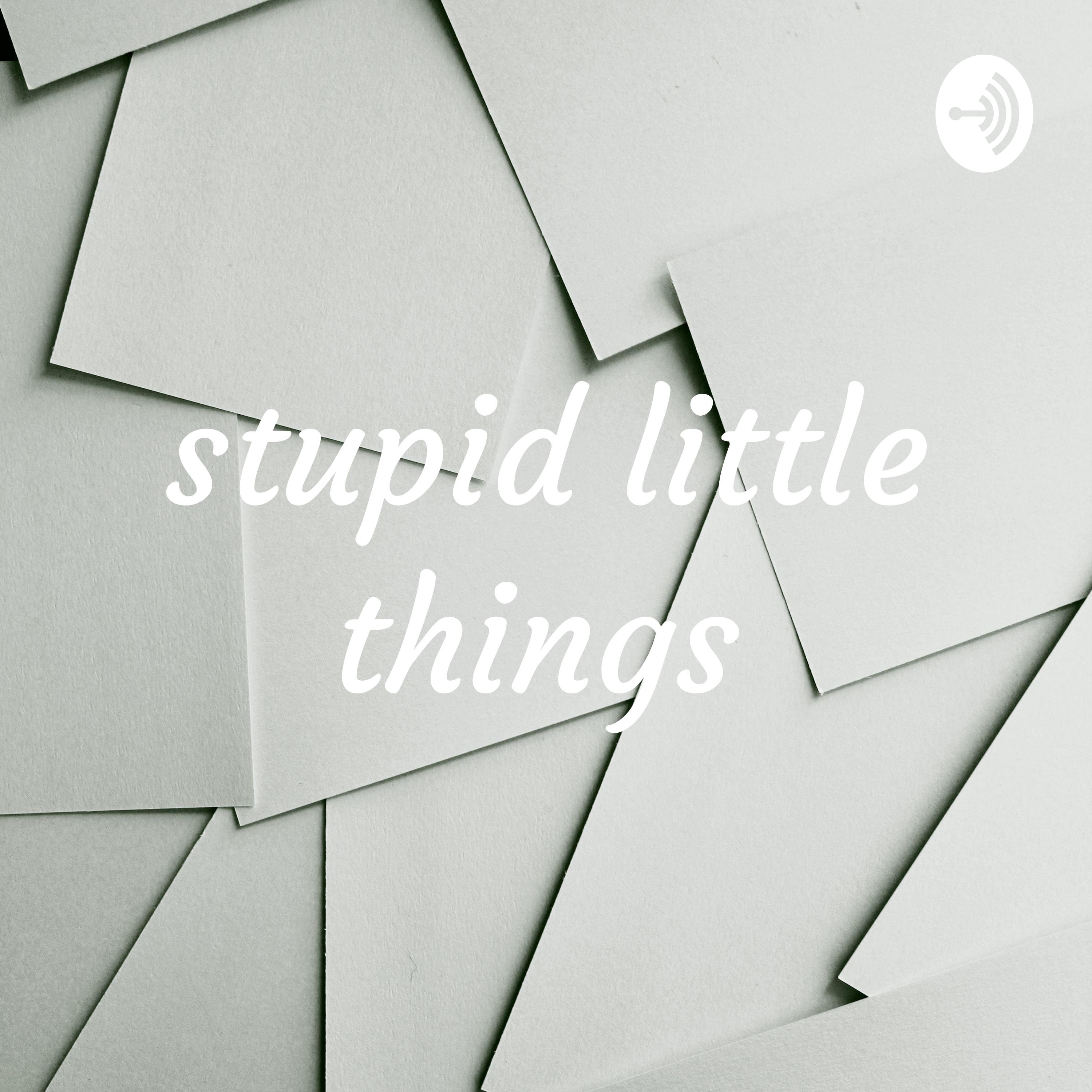 stupid little things 