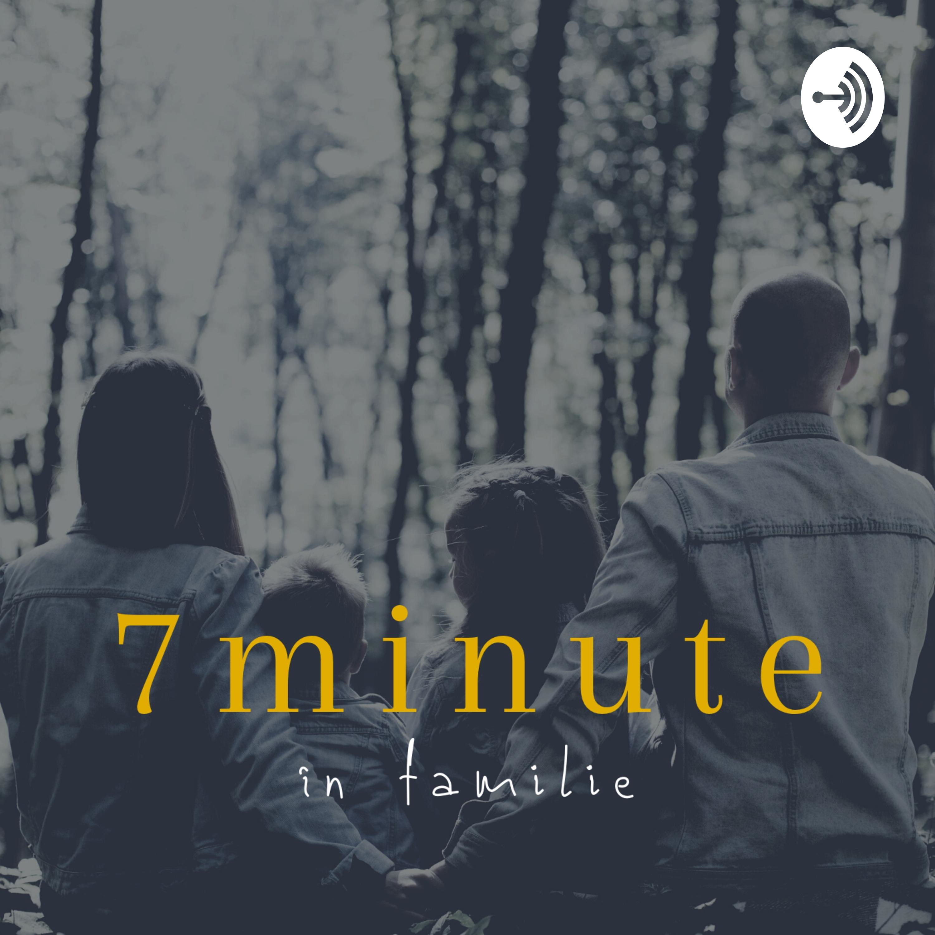 RVE Timișoara - 7 minute în familie cover art