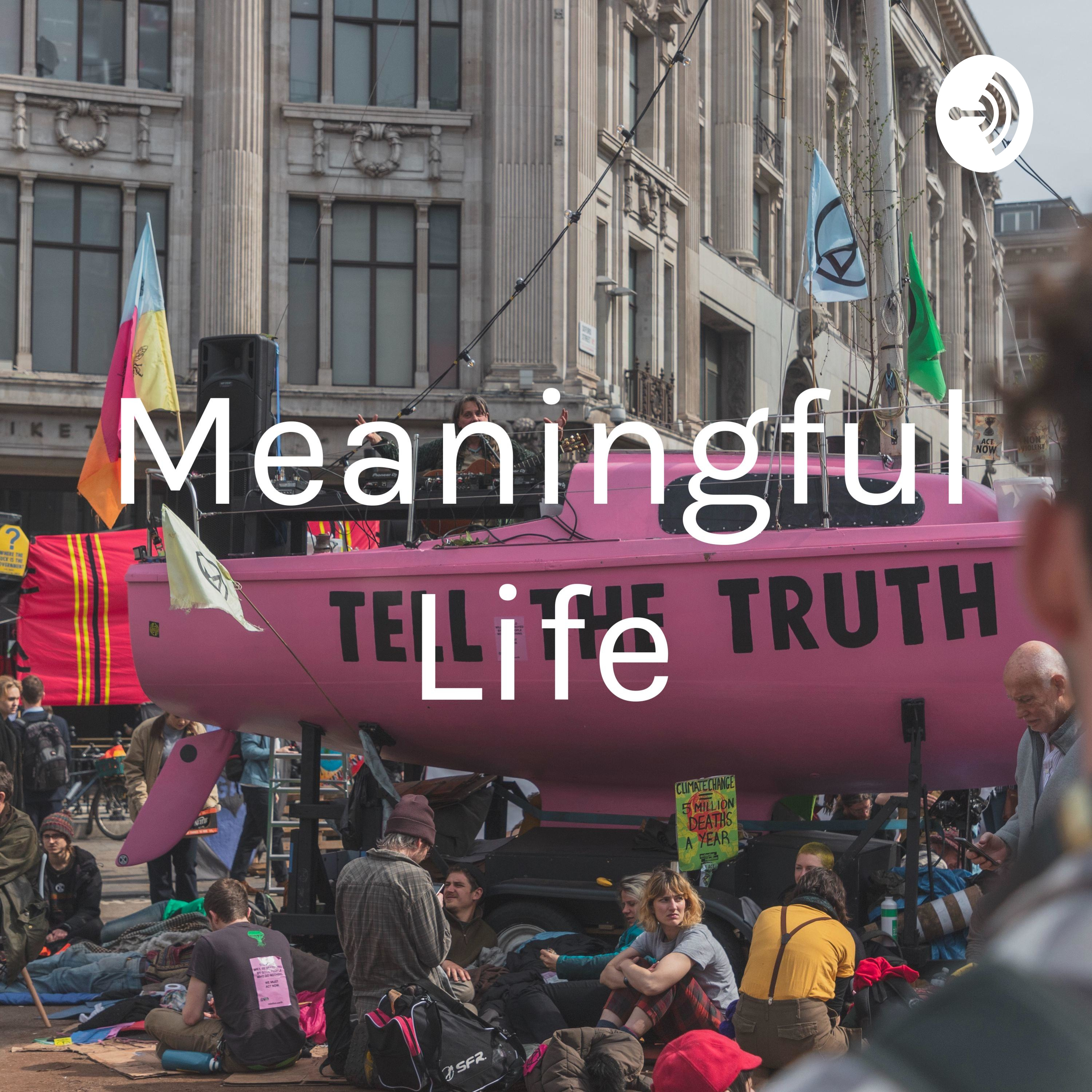Meaningful Life