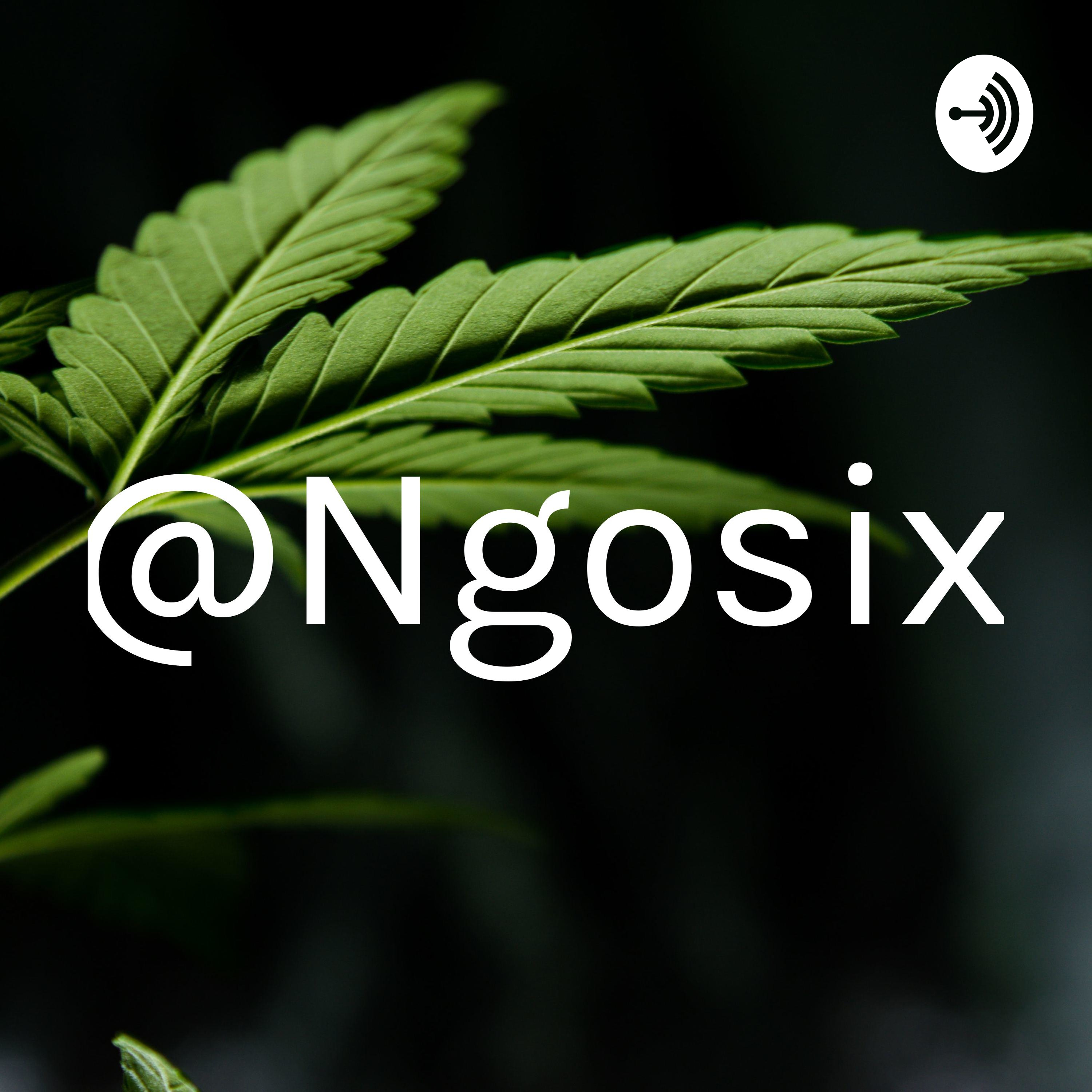 @Ngosix podcast artwork