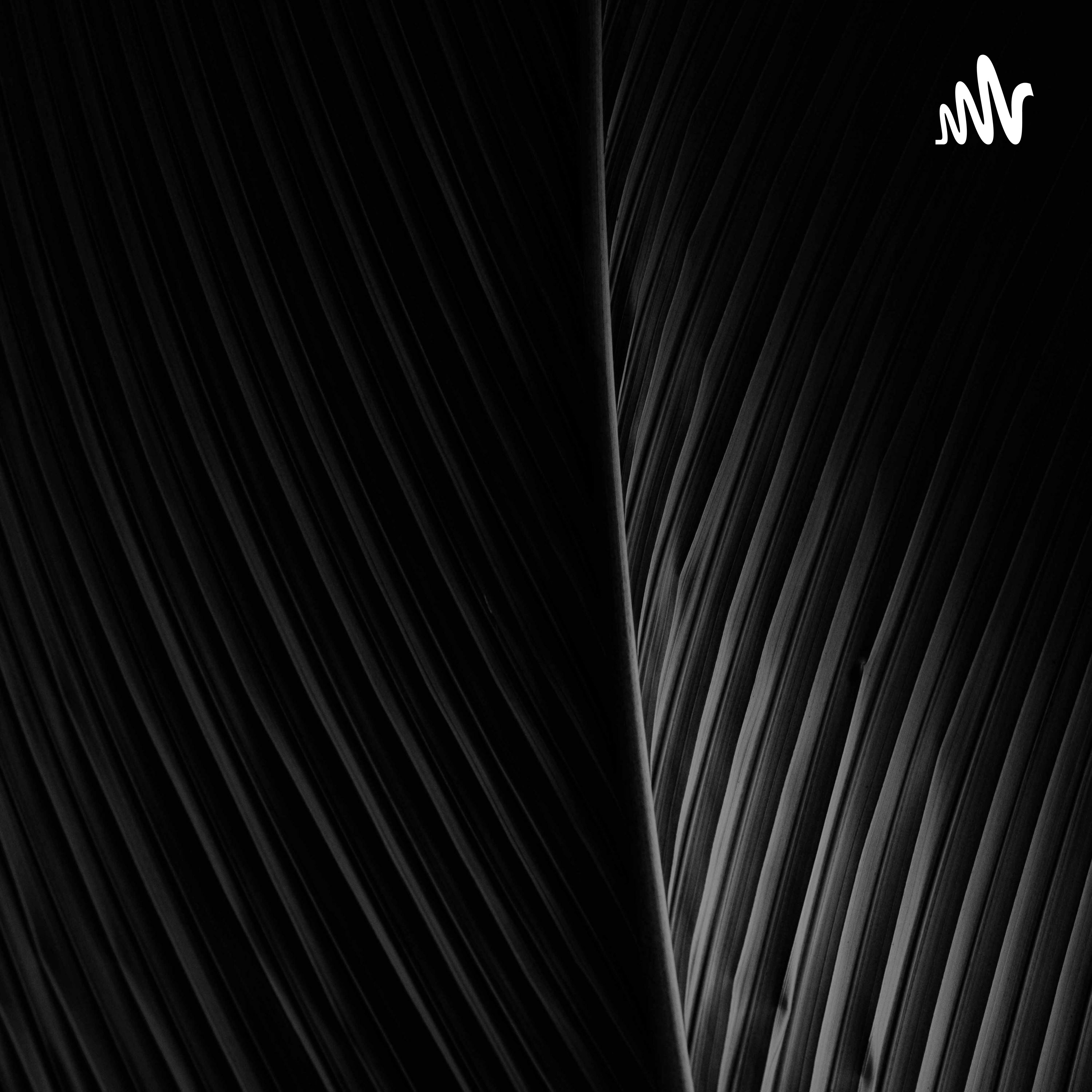 阅尽千帆只为等你