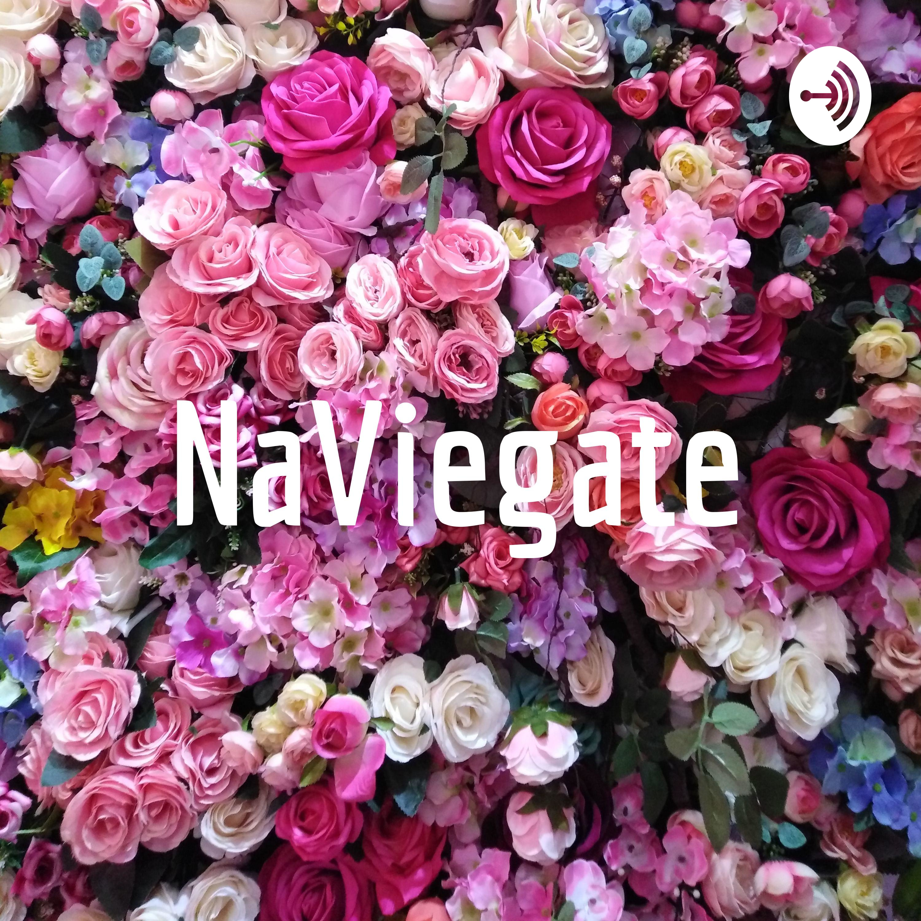 NaViegate