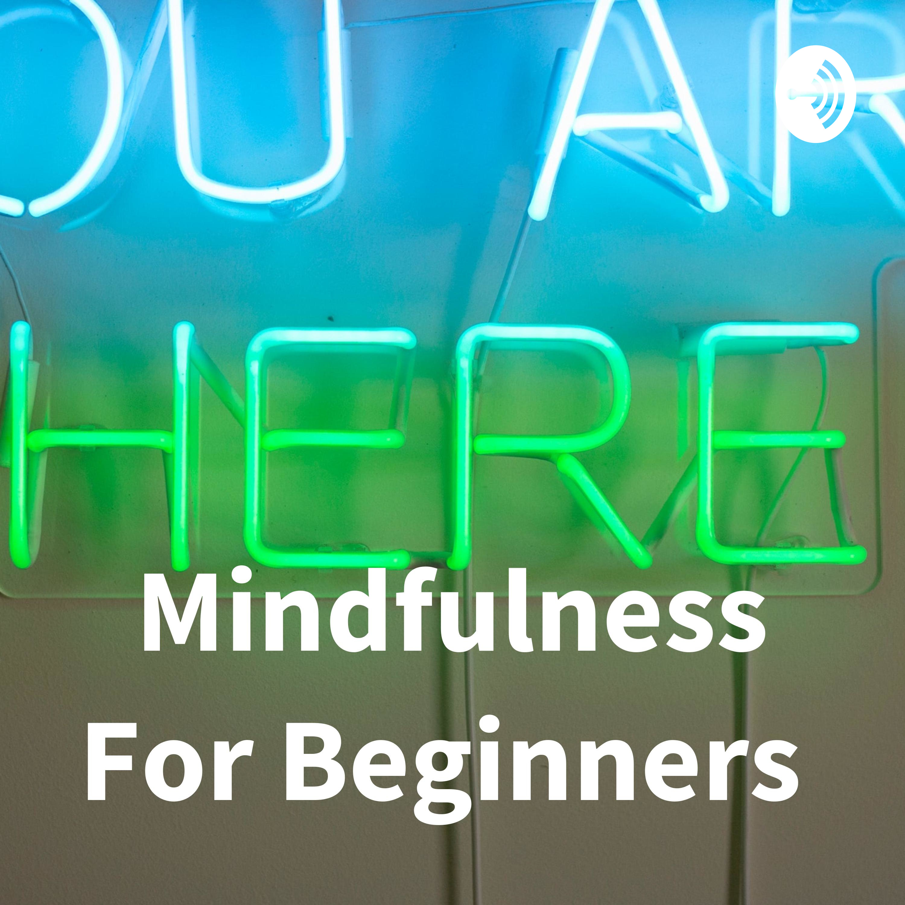 Mindfulness For Beginners 