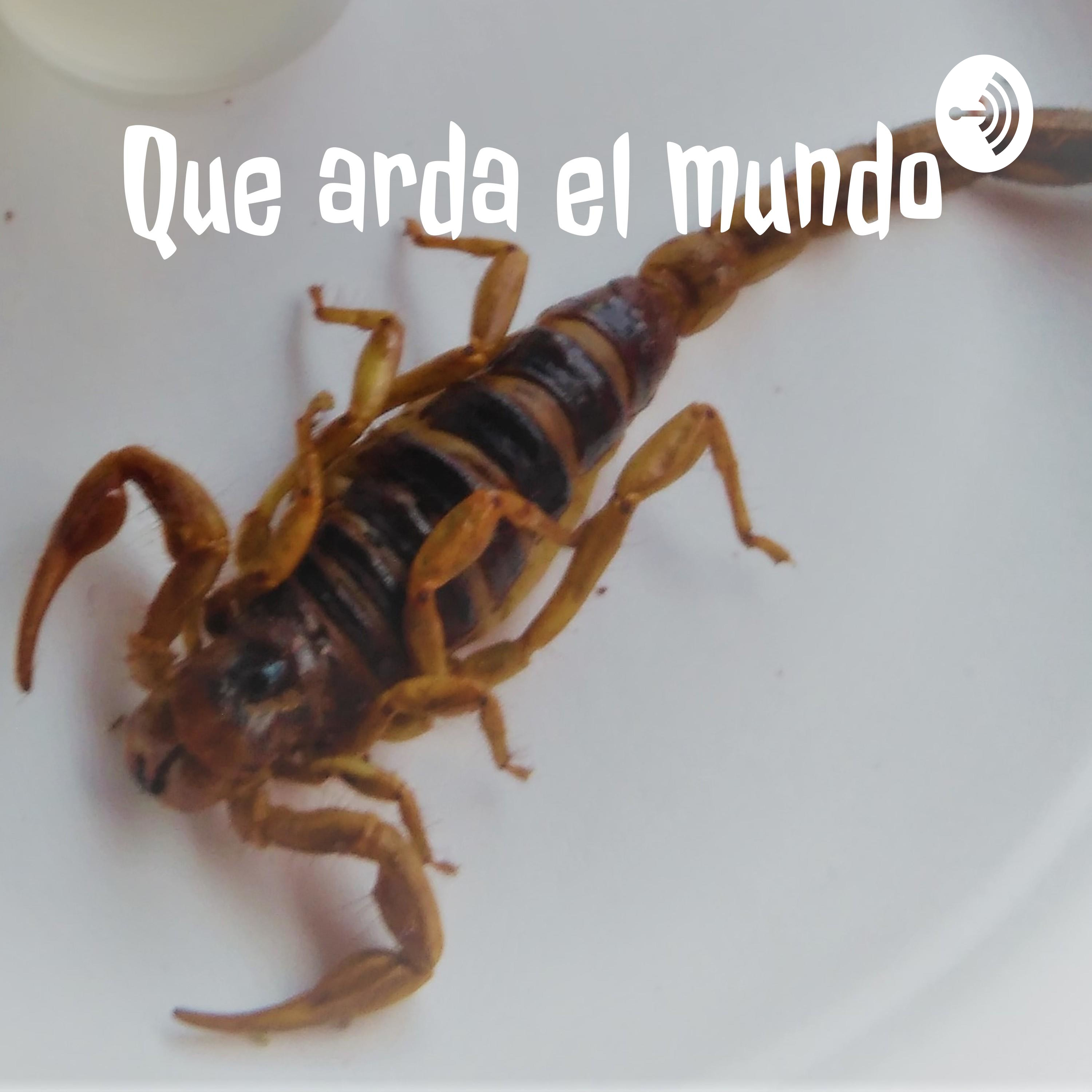 Que arda el mundo