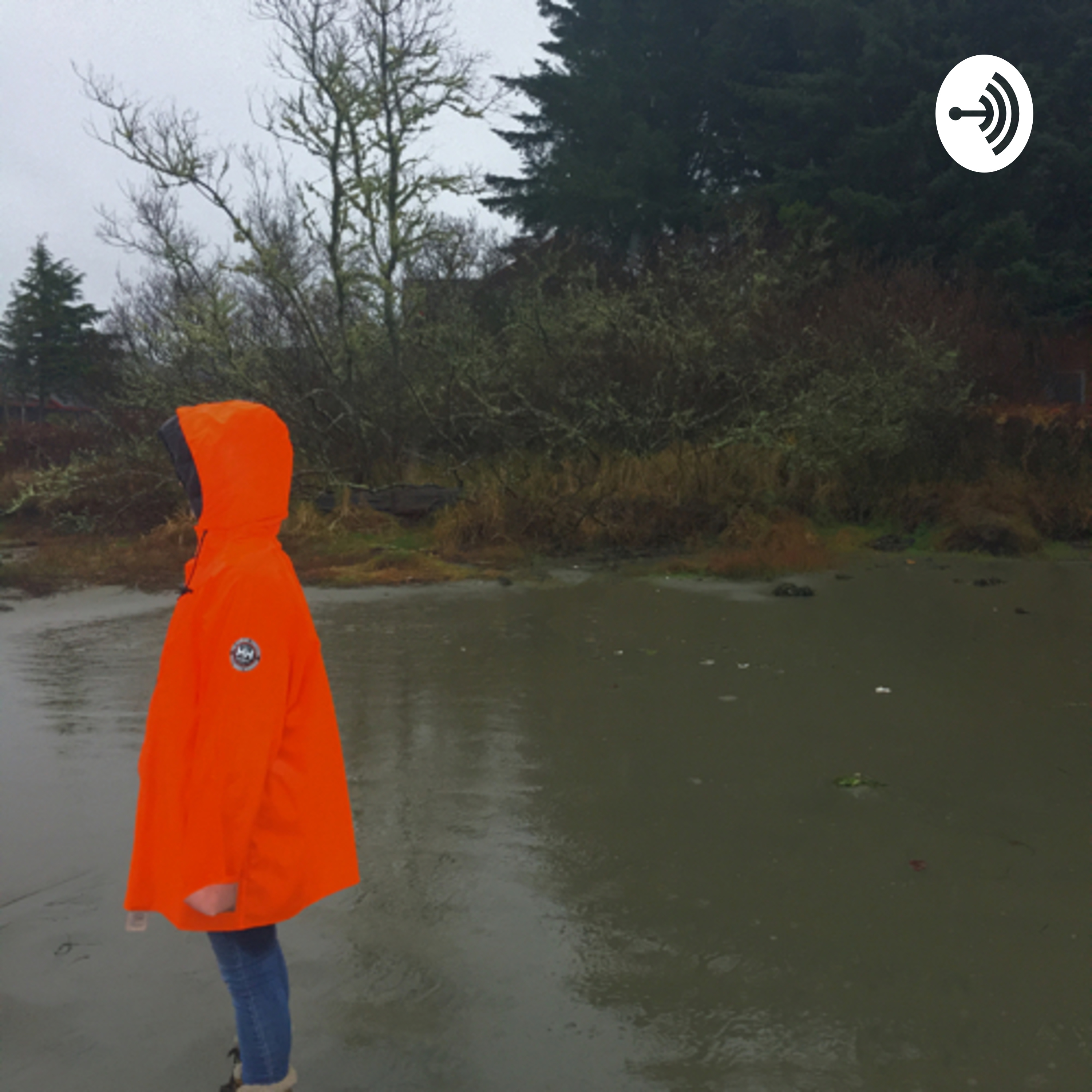 Svapna Yoga , Explore your dreams