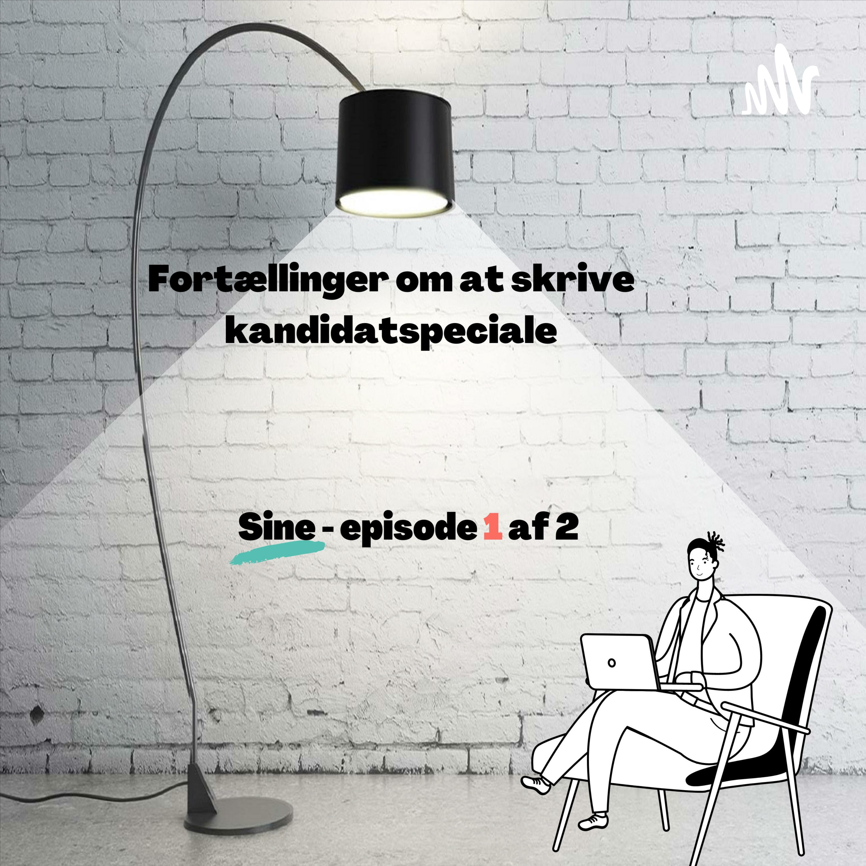 Fortællinger om at skrive kandidatspeciale