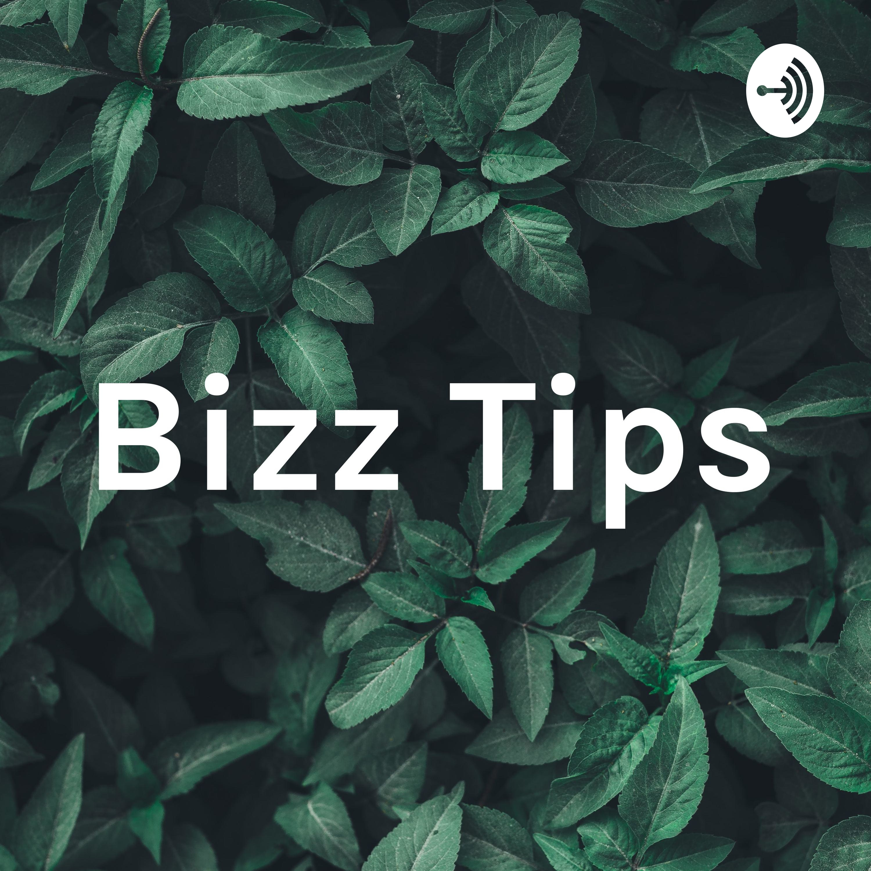 Bizz Tips