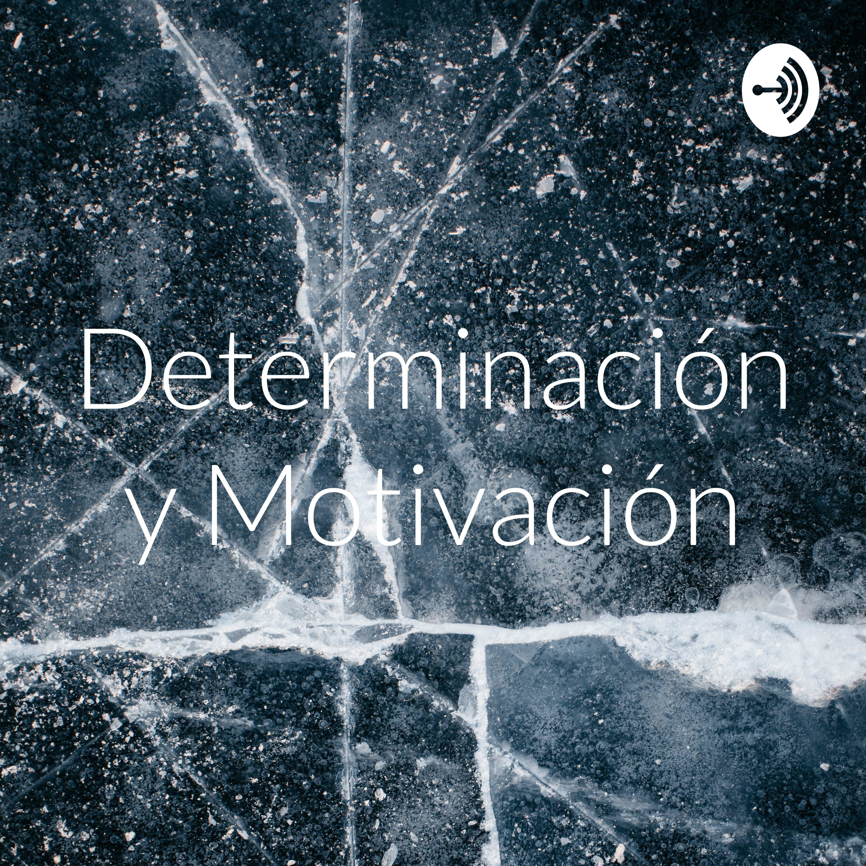 Determinación y Motivación