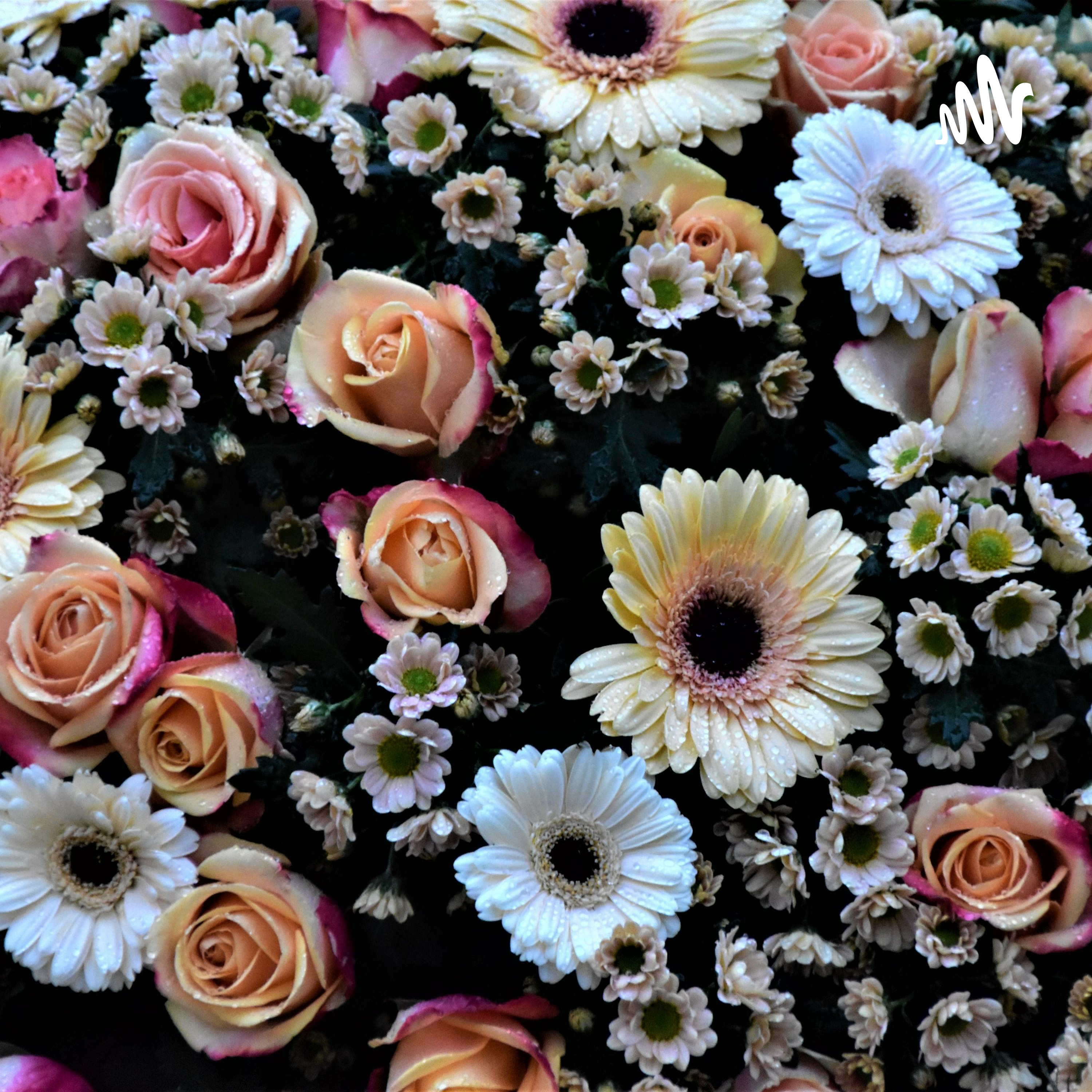 恭喜你遇到了对的我