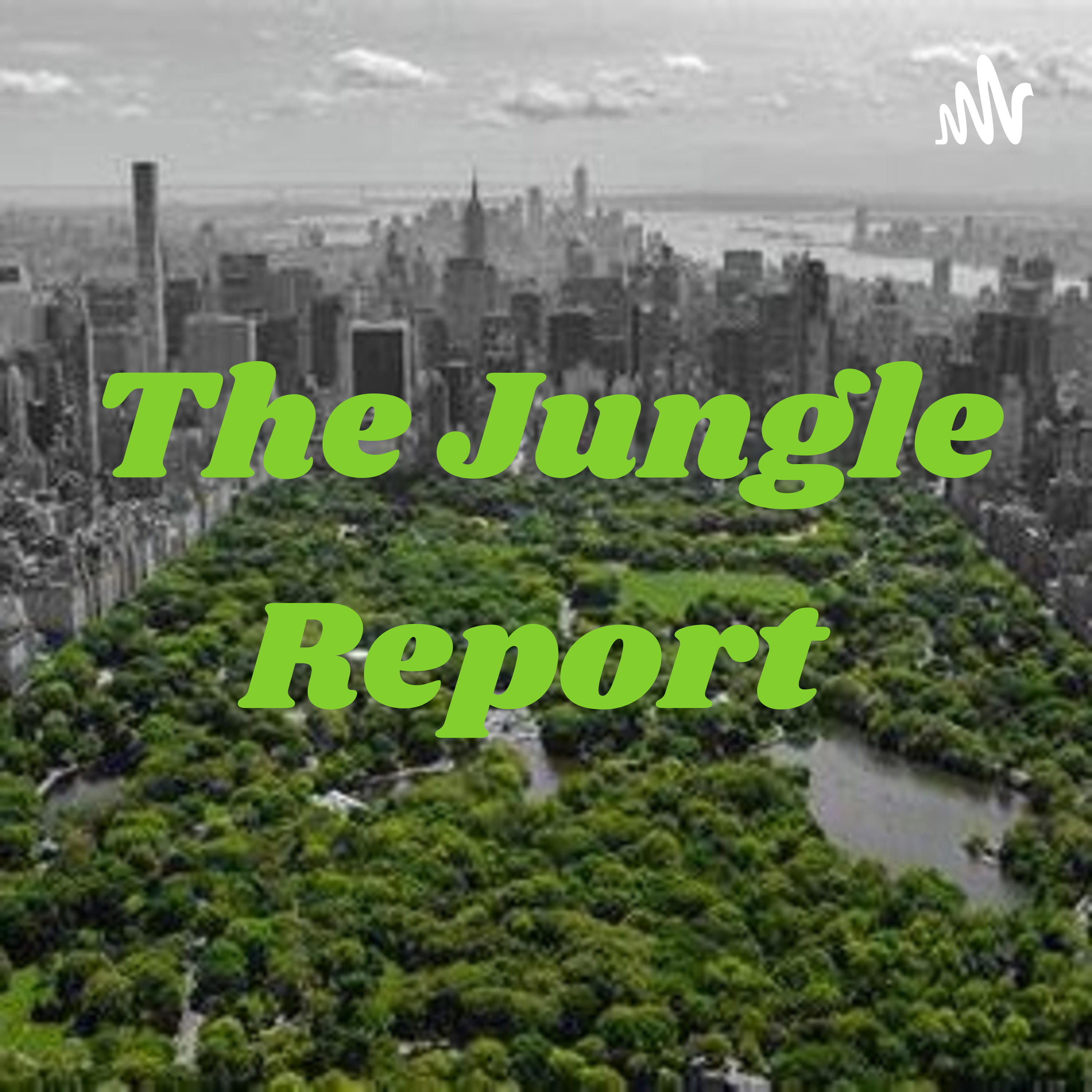 The Jungle Report Podcast
