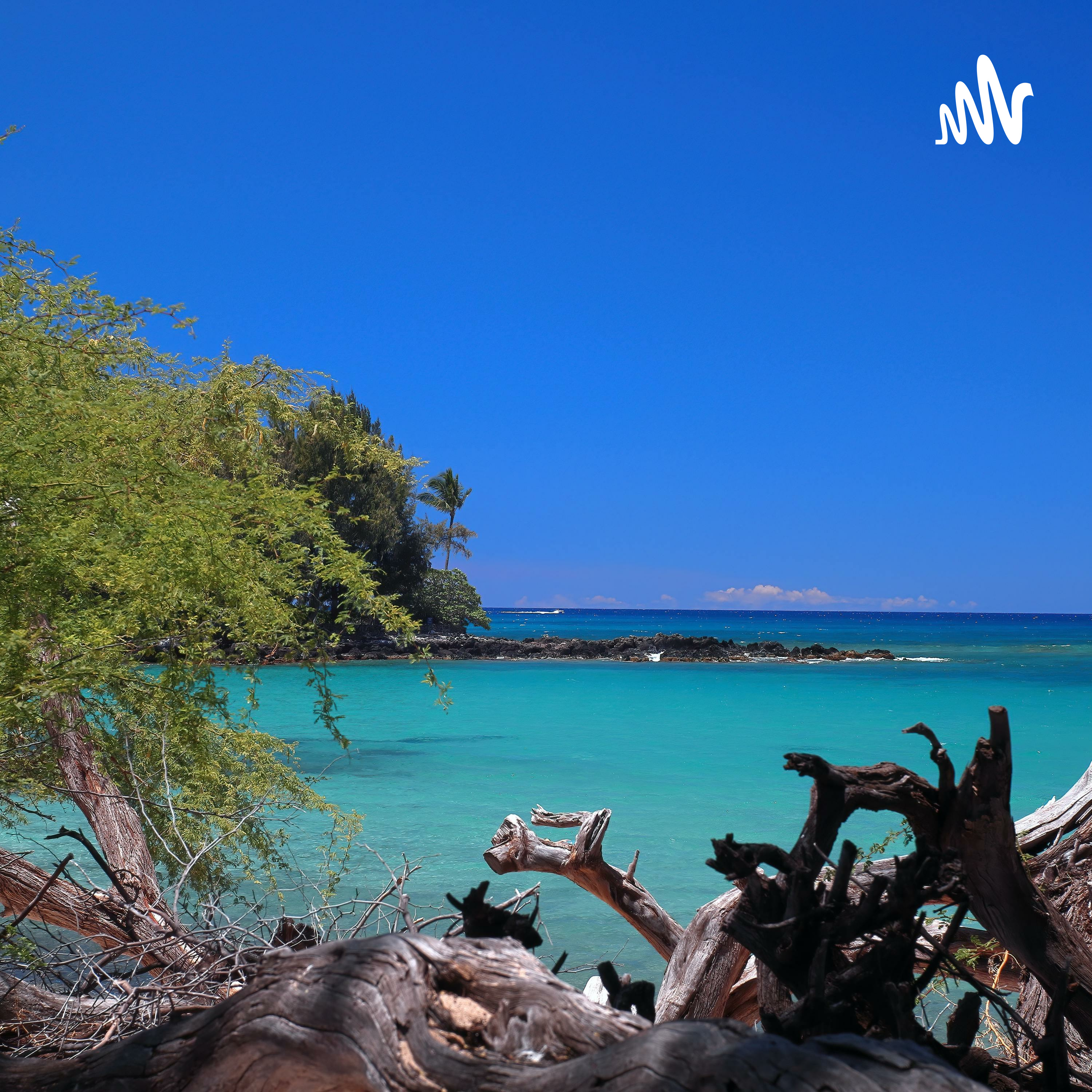 很努力的珍惜过你