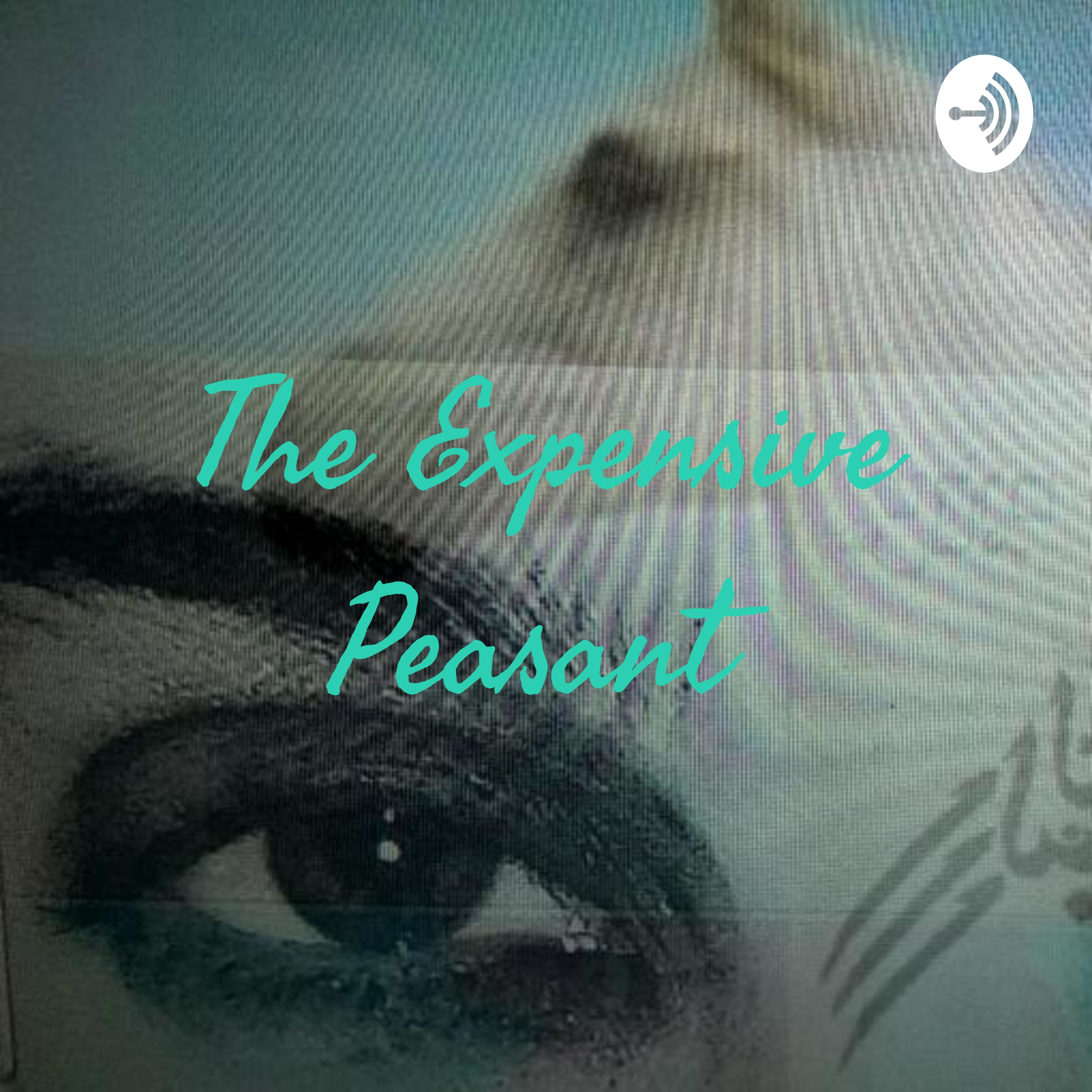 The Expensive Peasant:Rosetta Stone The Expensive Peasant:Rosetta Stone