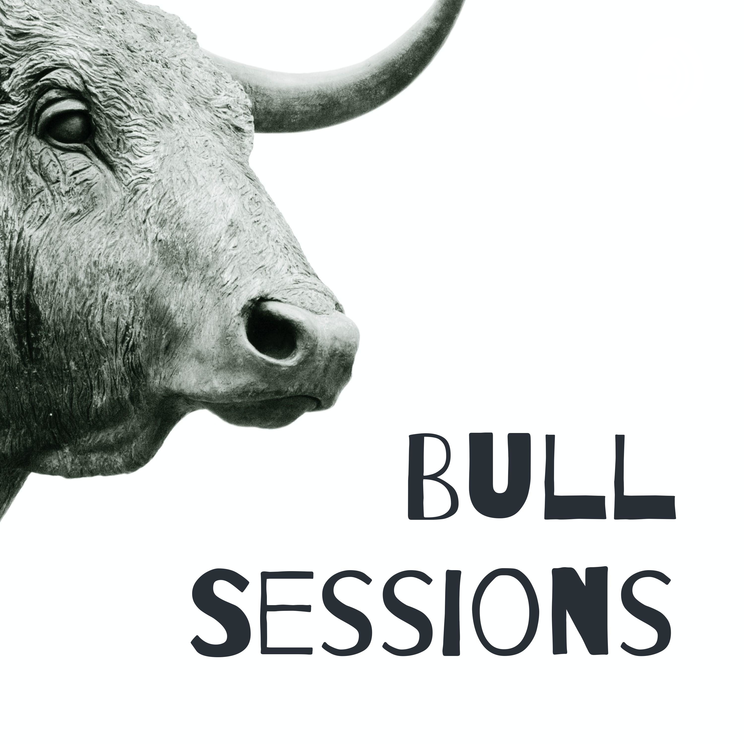 Bull Sessions