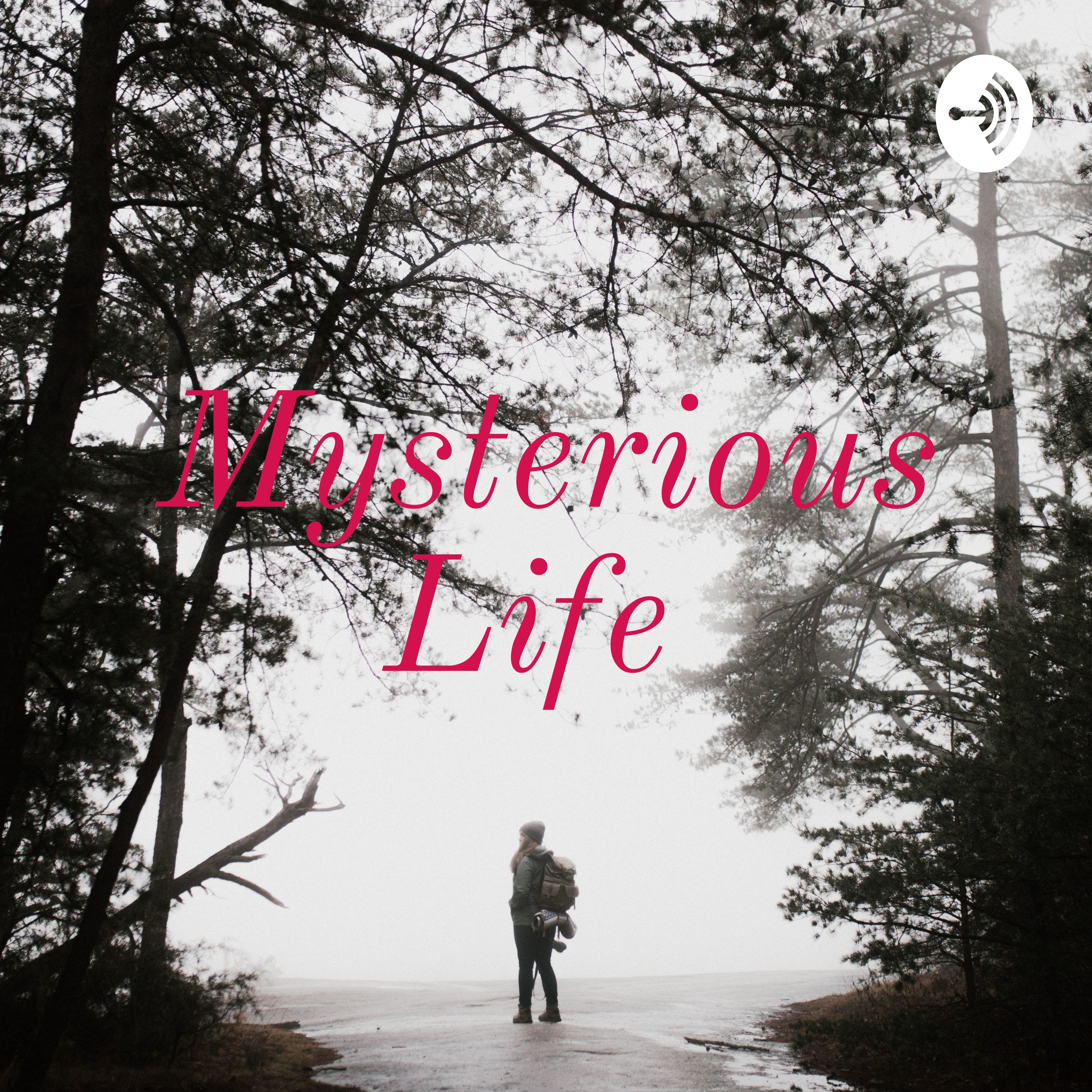 Mysterious Life 