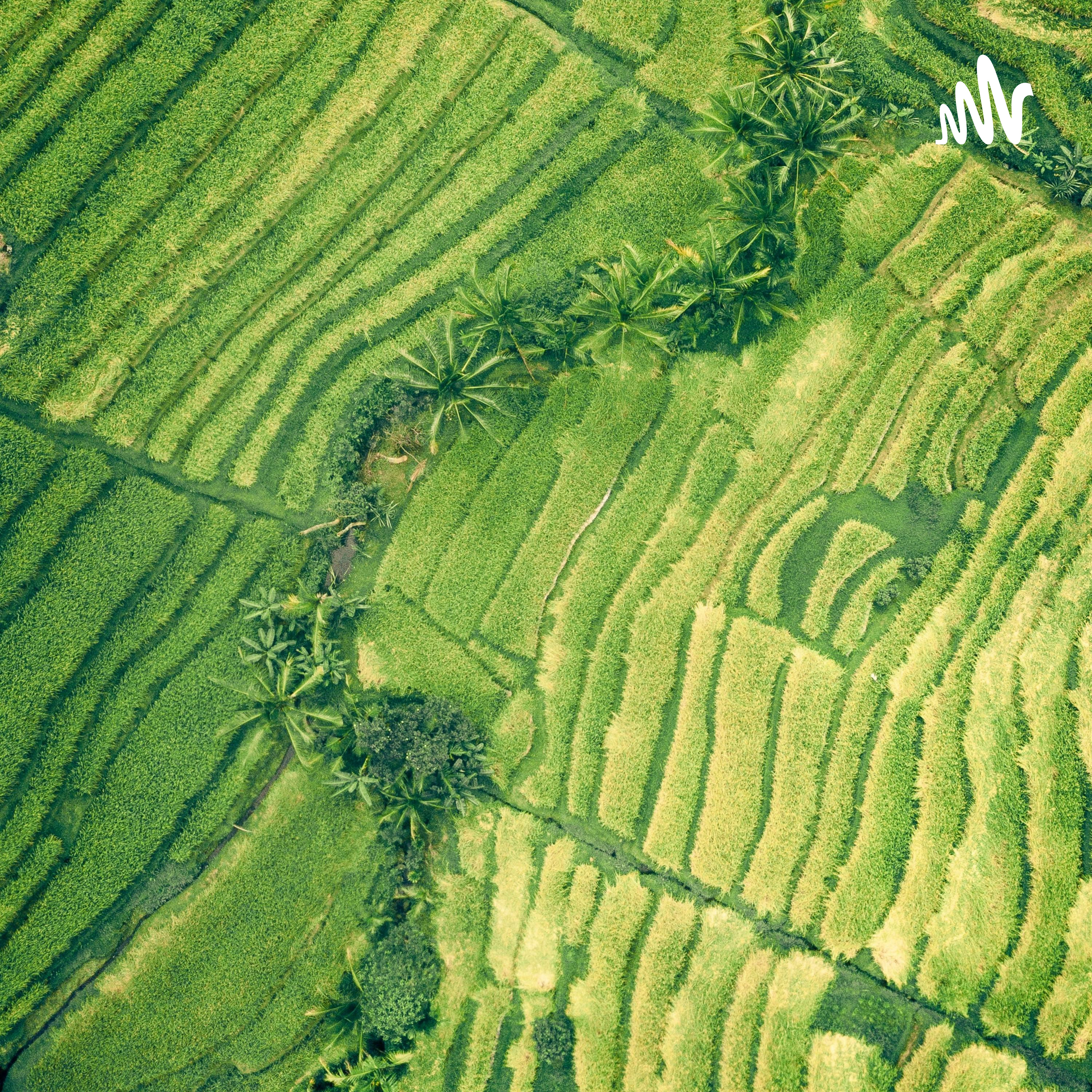 乐观、泼辣、直爽