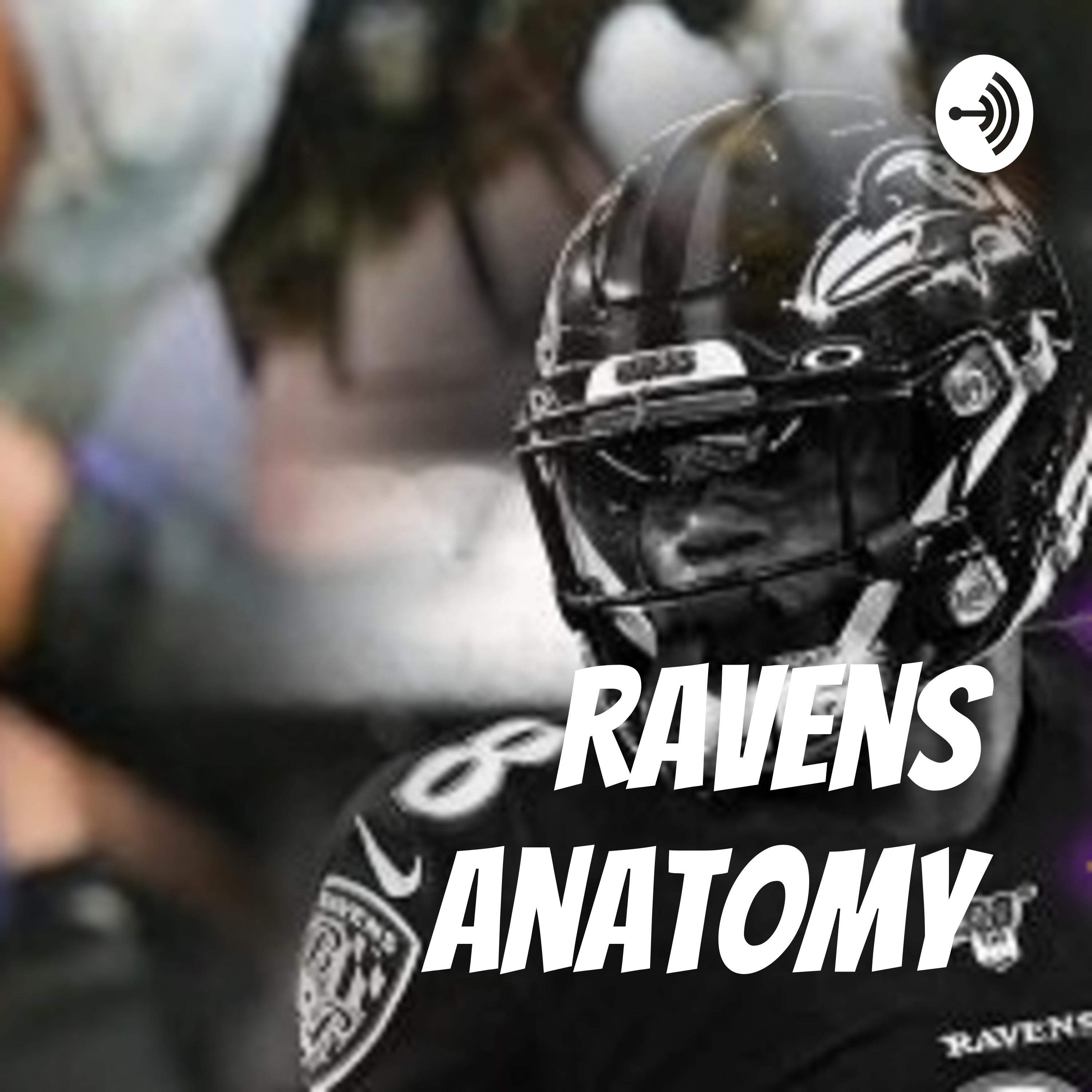 Ravens Anatomy