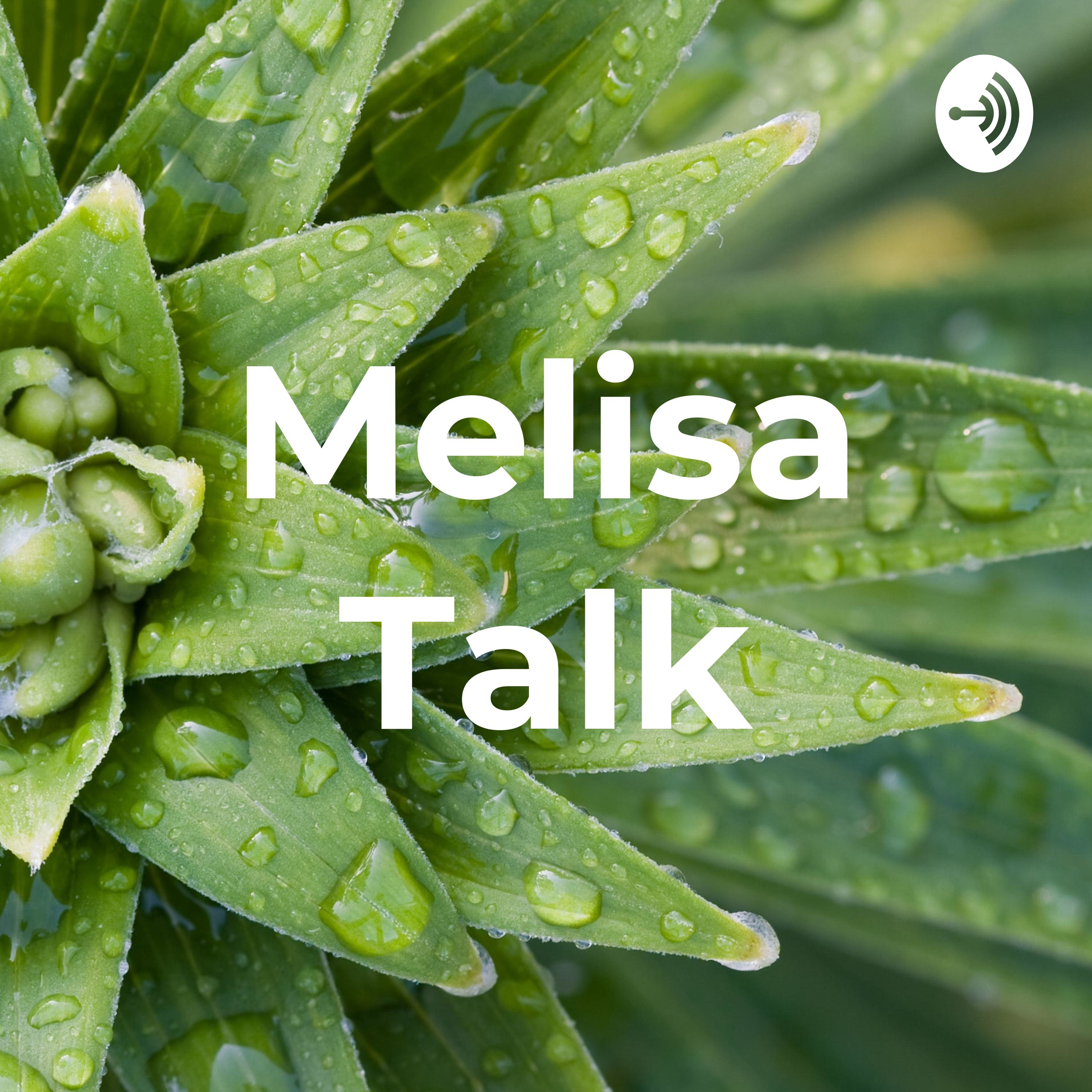 Melisa Talk