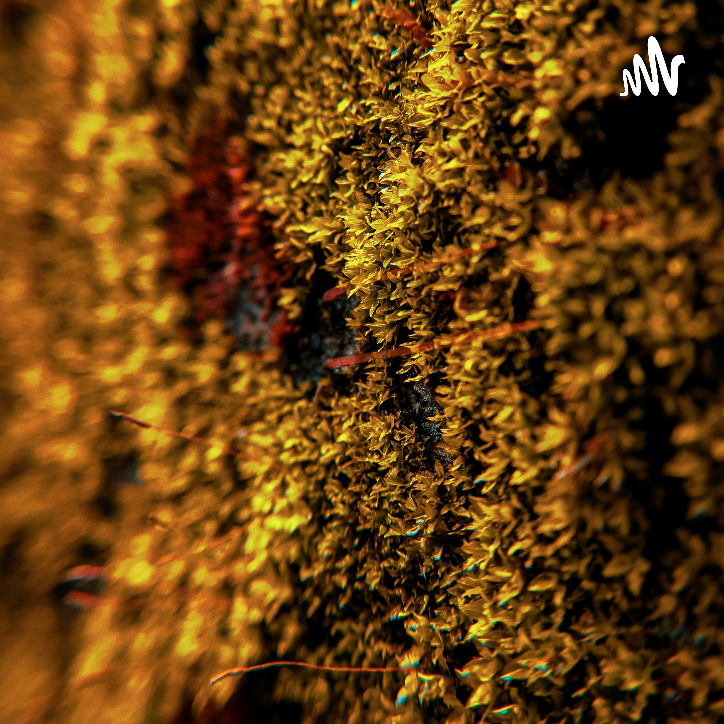 爱上了还要逼自己忘记