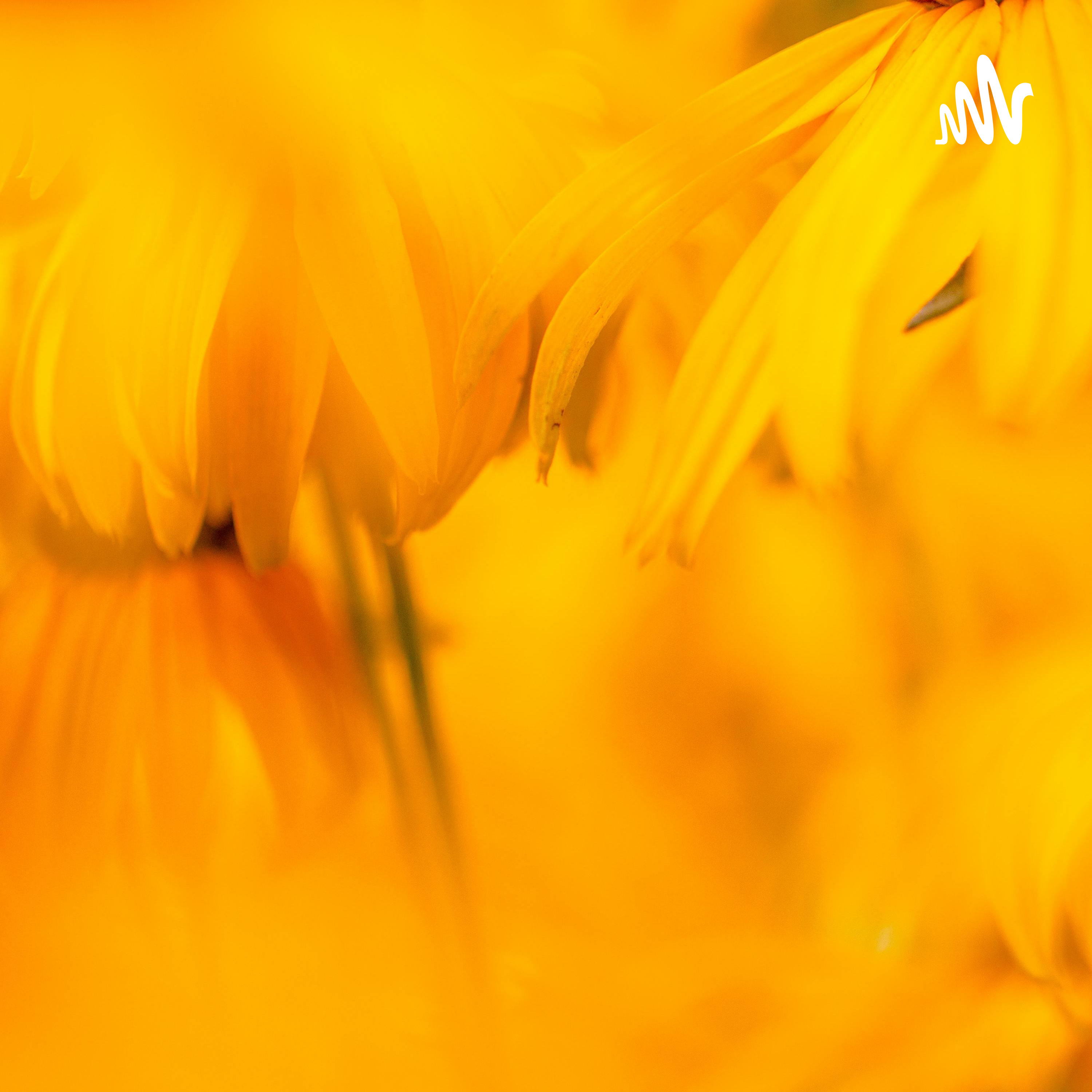 无人能解的孤寂