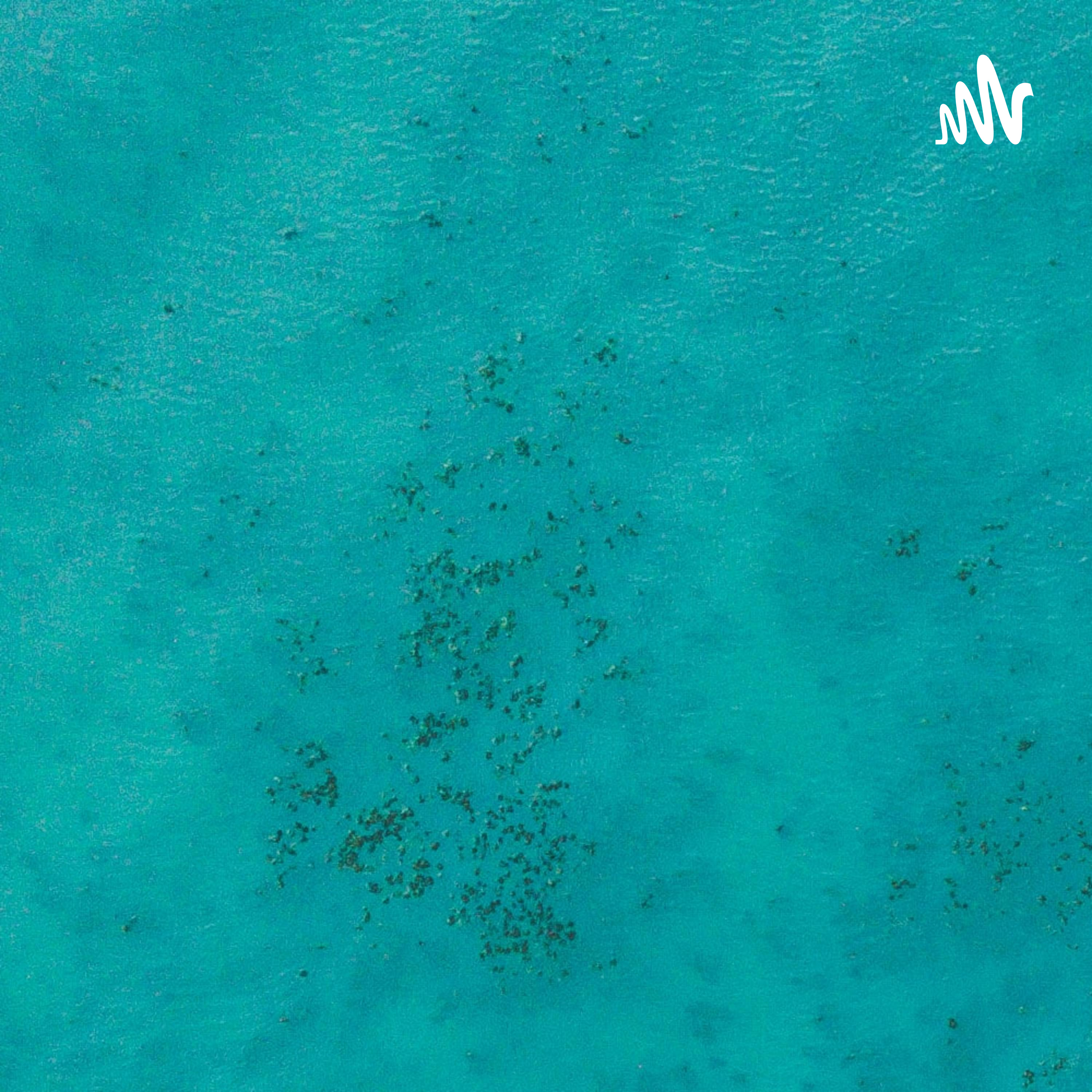 不如我们重头来过