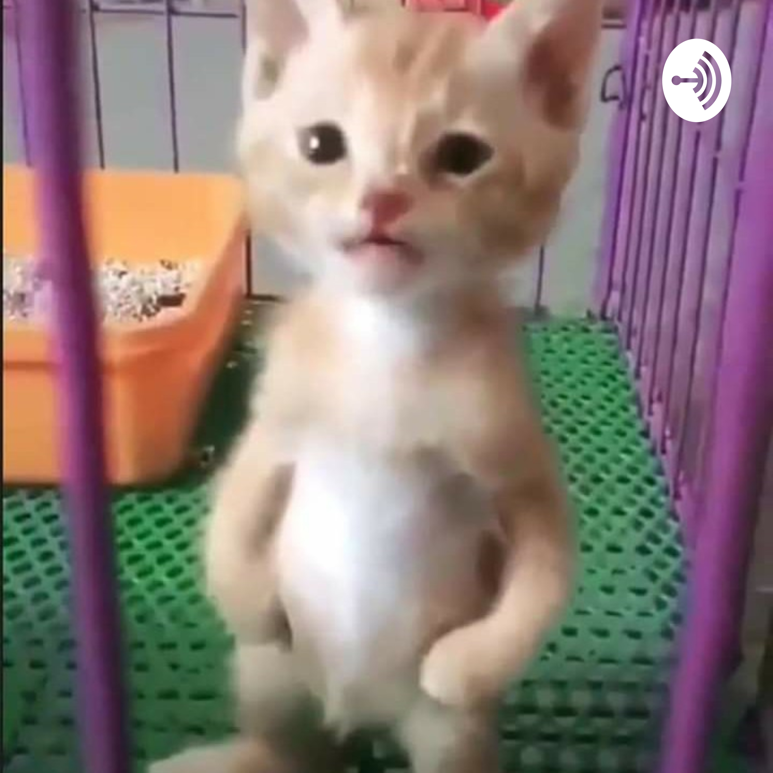 Nuggetman af kevin Mark