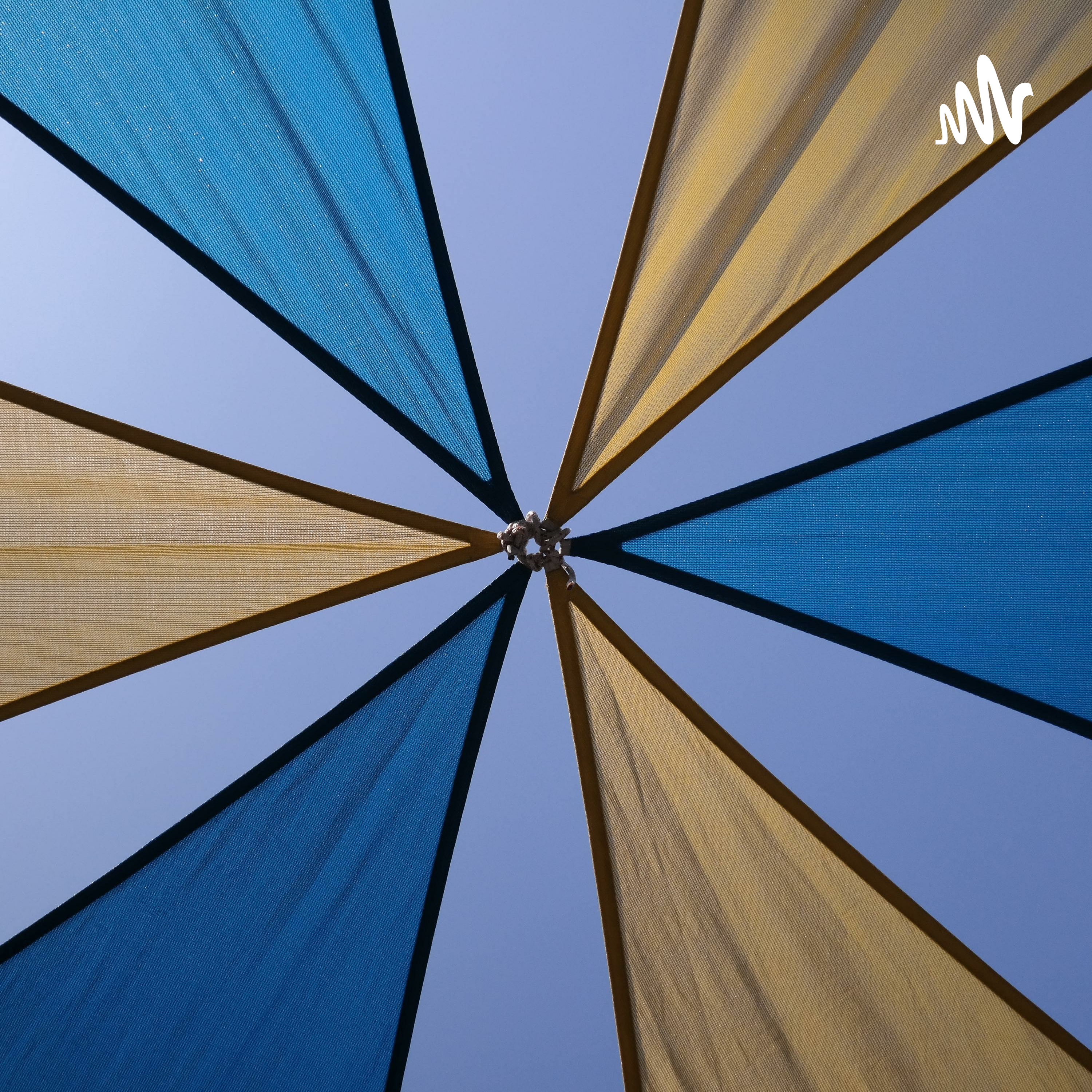 送你一束香水百合