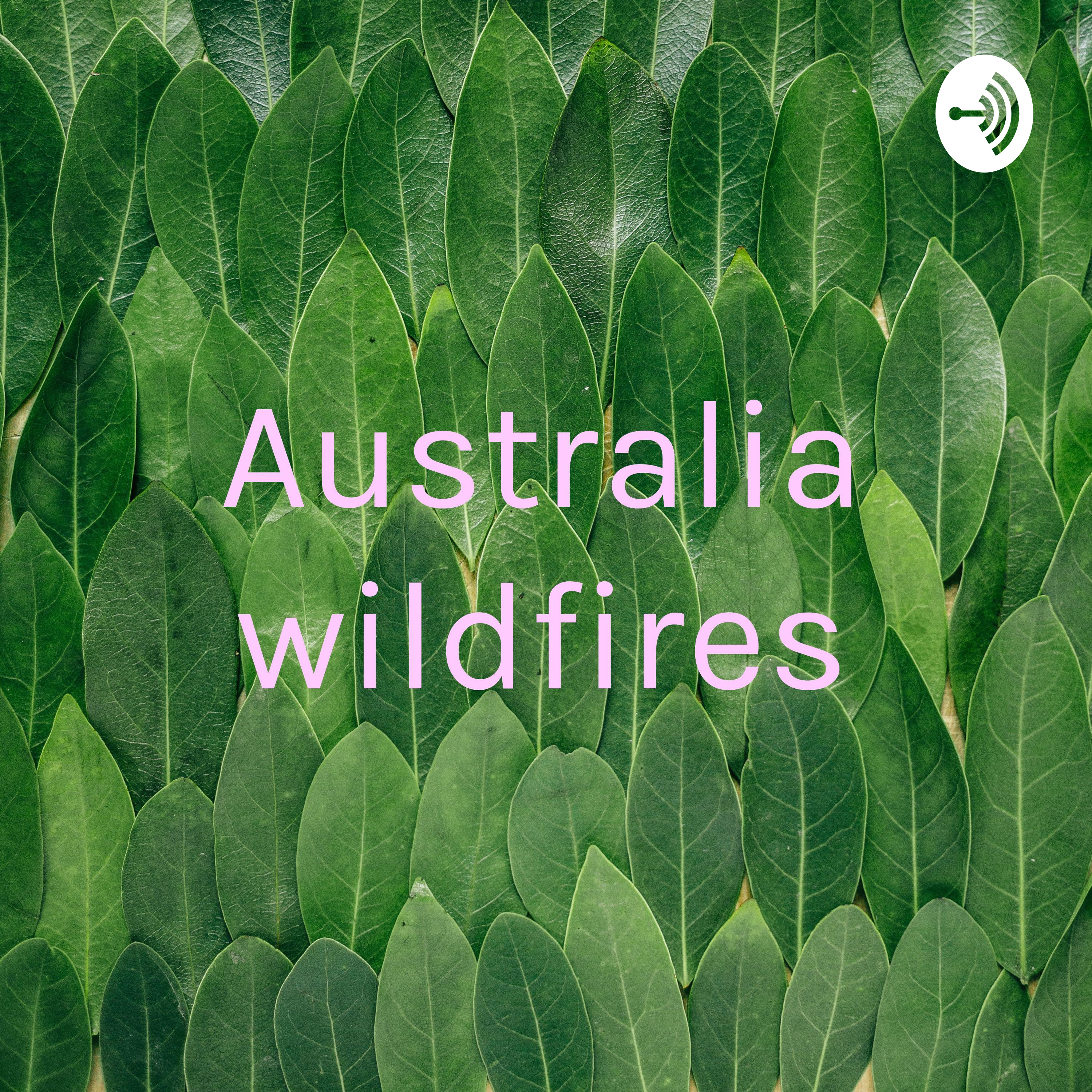 Australia wildfires