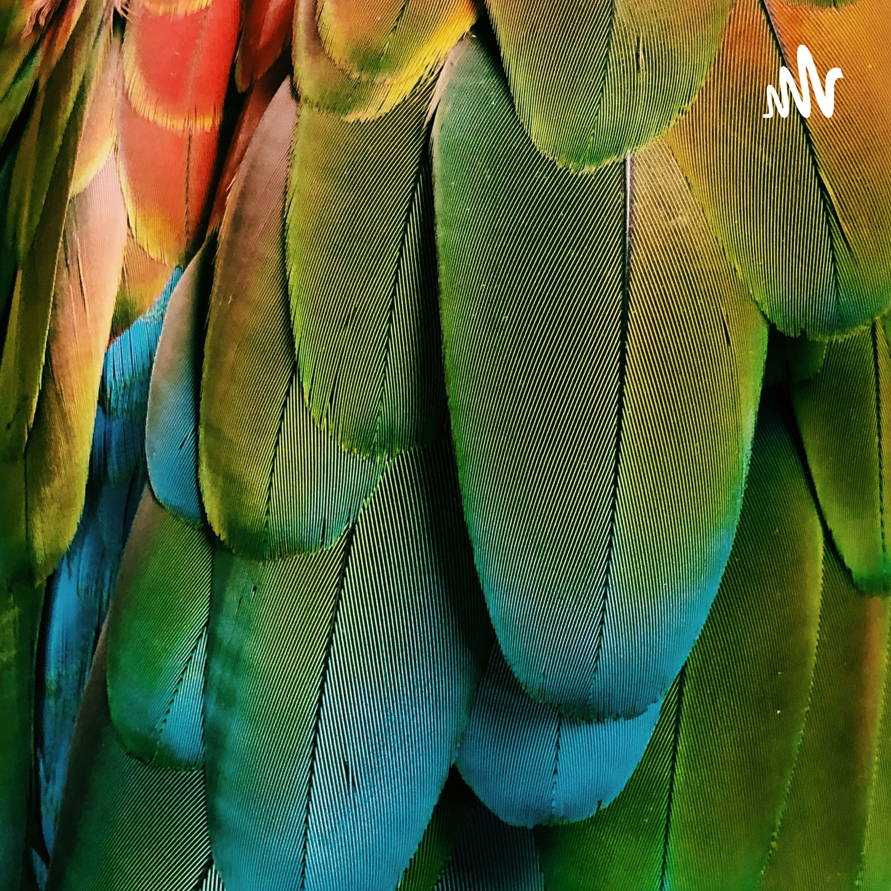 不要那么相信自己的回忆