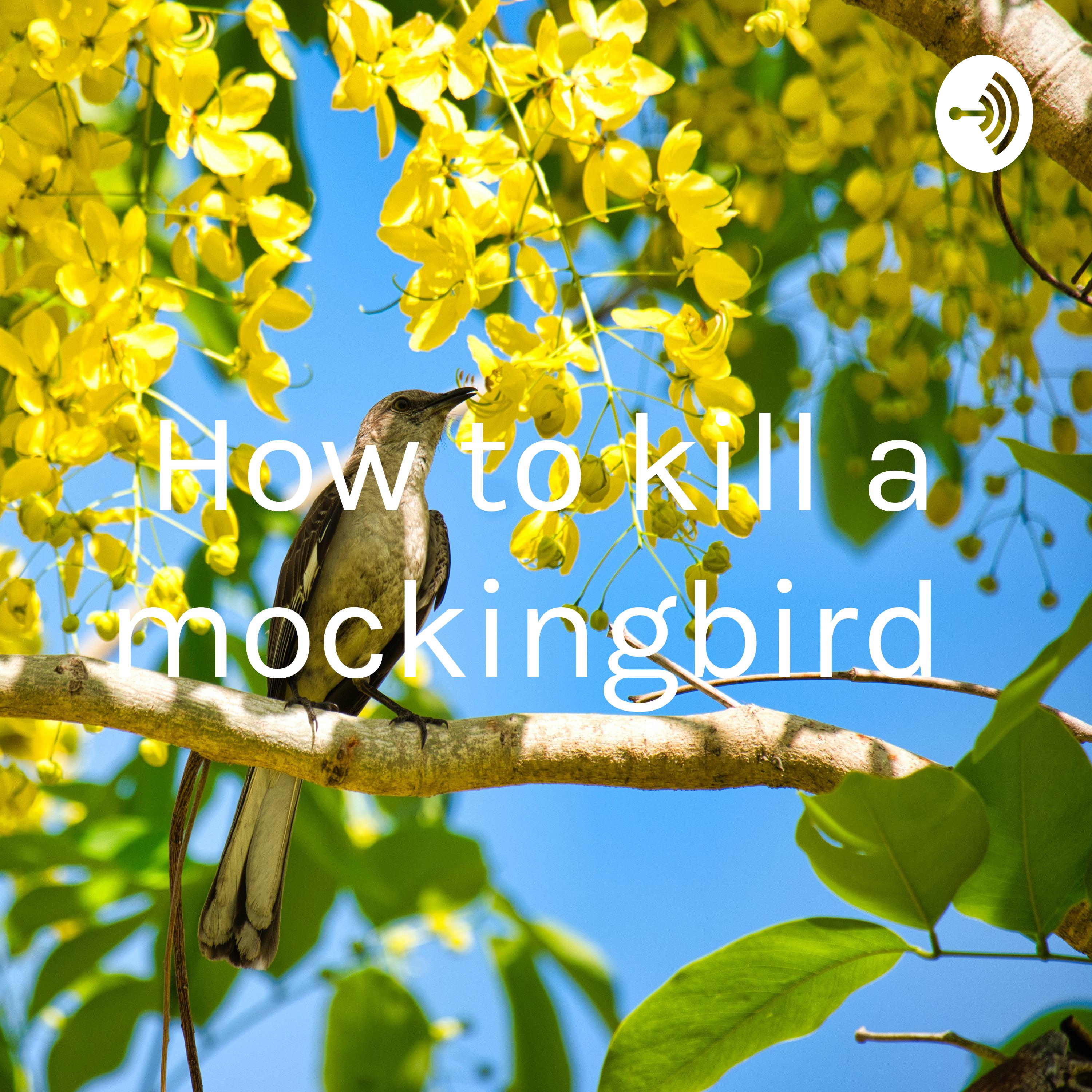 How to kill a mockingbird 